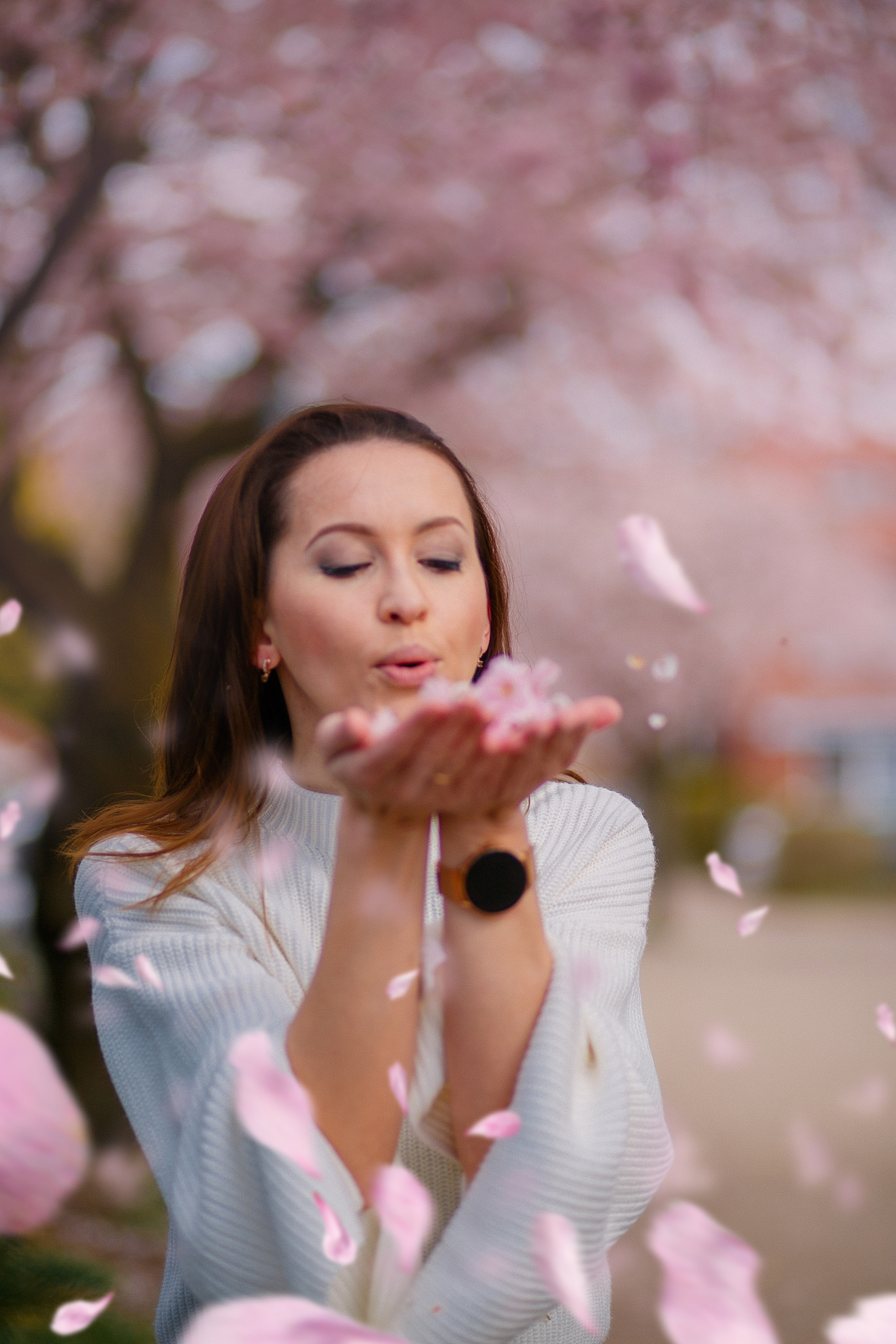 Цветение Ирочка. Fotografin Hamburg Reinbek Elizaveta Romanova