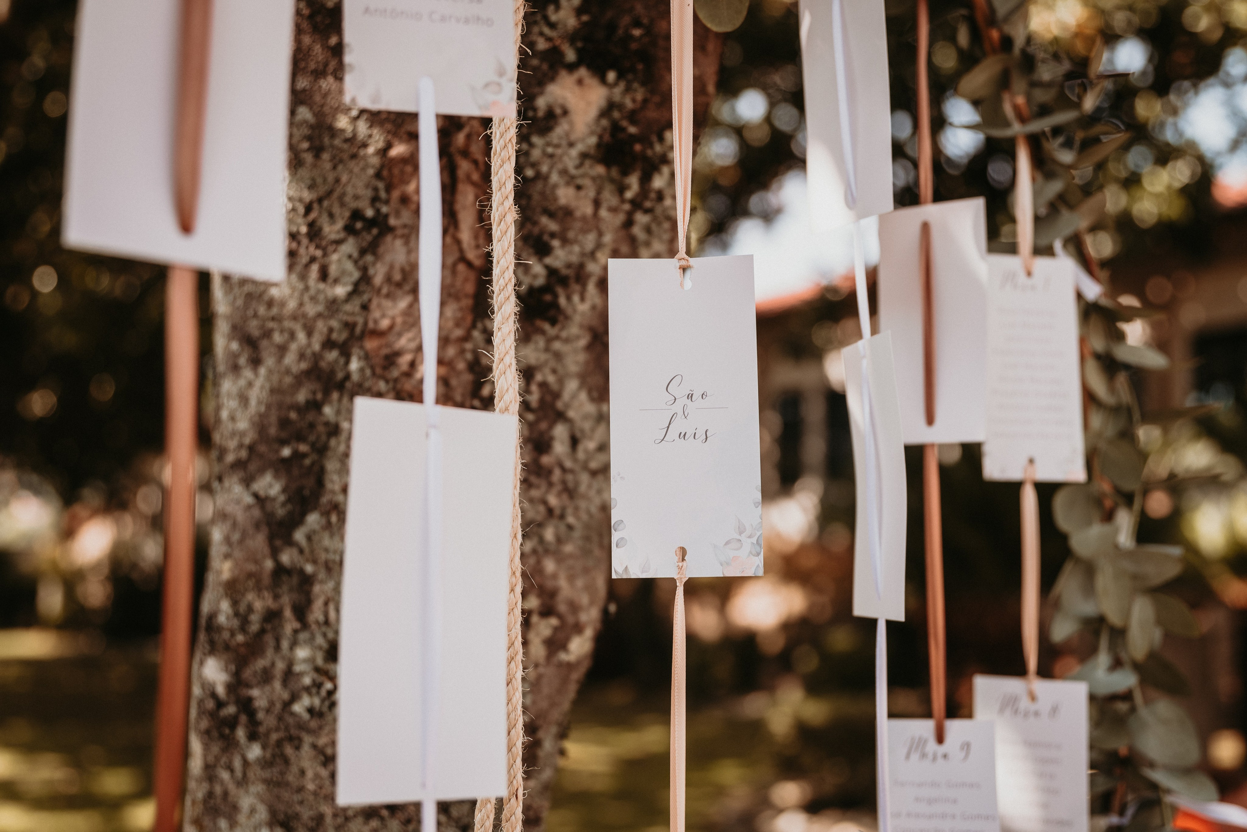 São & Luís. Photographe de mariage et de famille à Braga — Alexandra Mieres Photography
