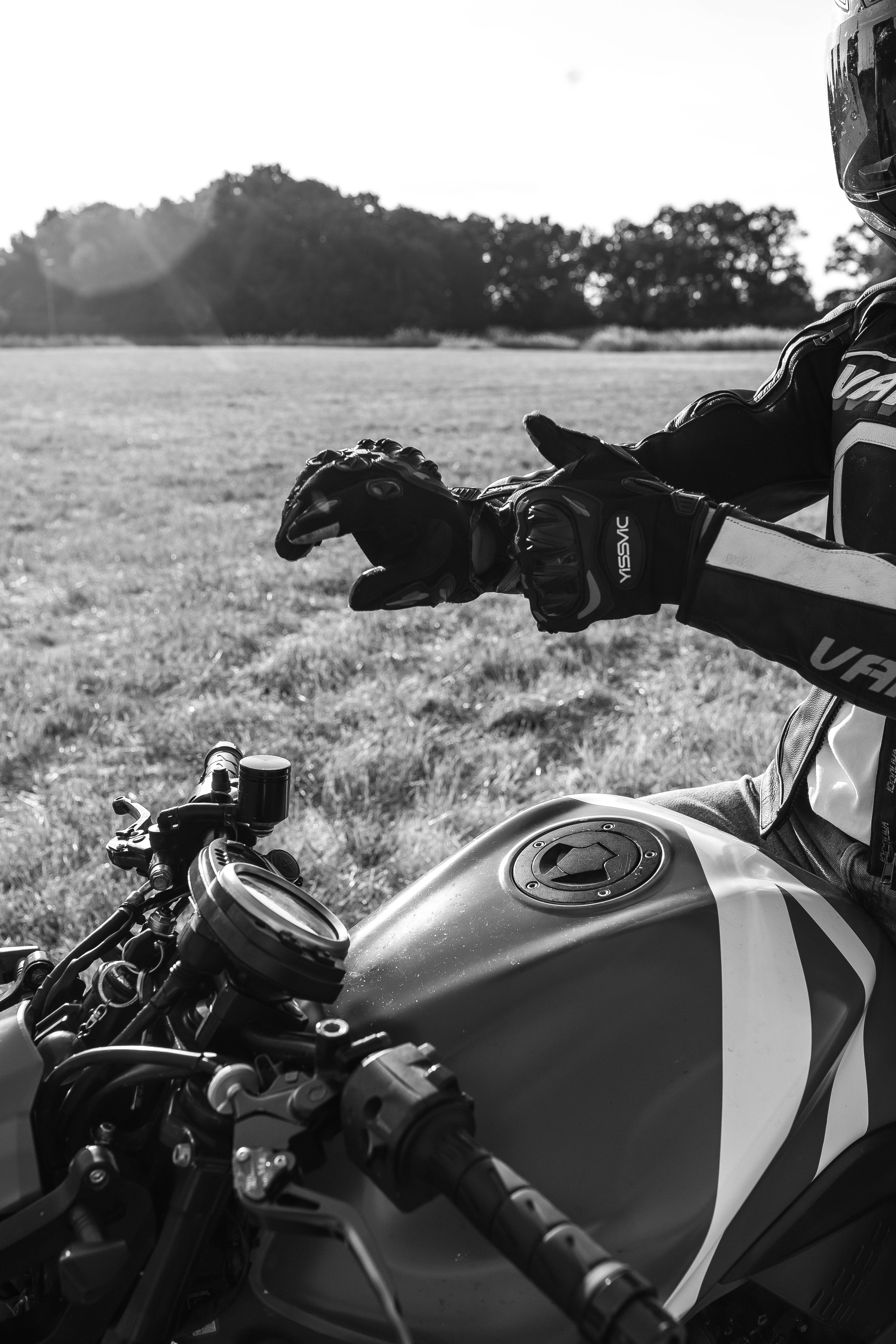 Alina & Enes. Natalia Belov Familien - und Hochzeitsfotografin