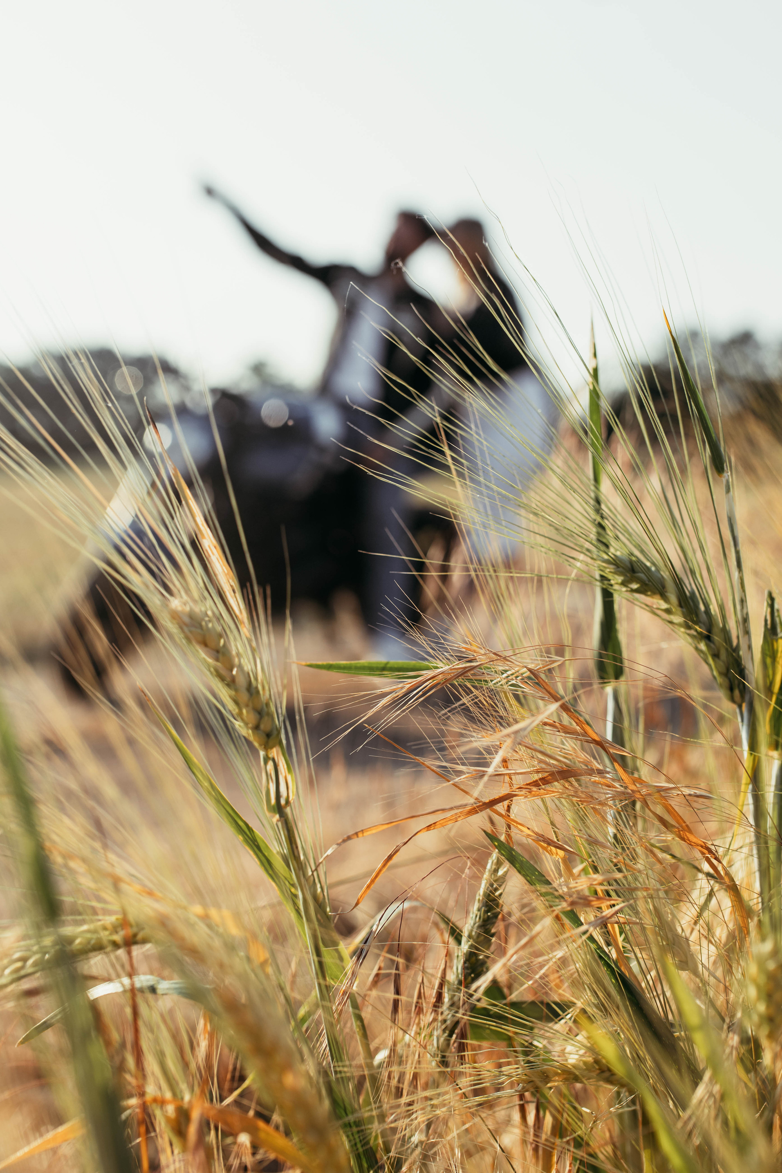 Alina & Enes. Natalia Belov Familien - und Hochzeitsfotografin