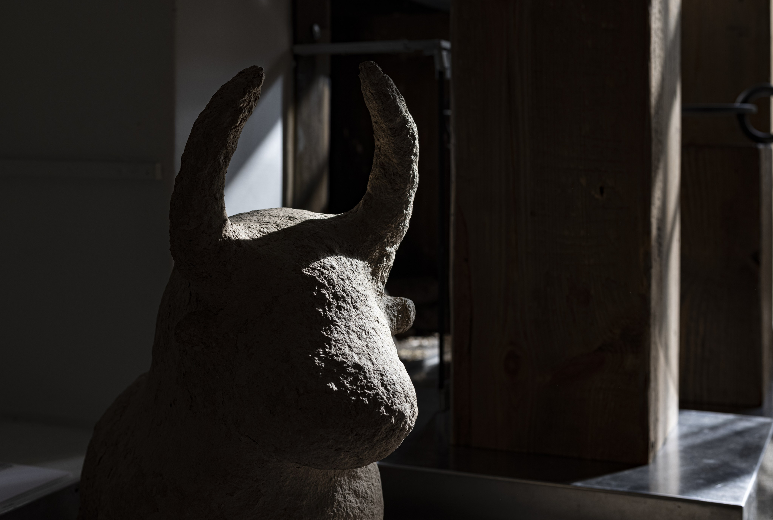 « Évolution de l’archaïque ». Natalia Bogdanovska. Films et photographie corporate en France