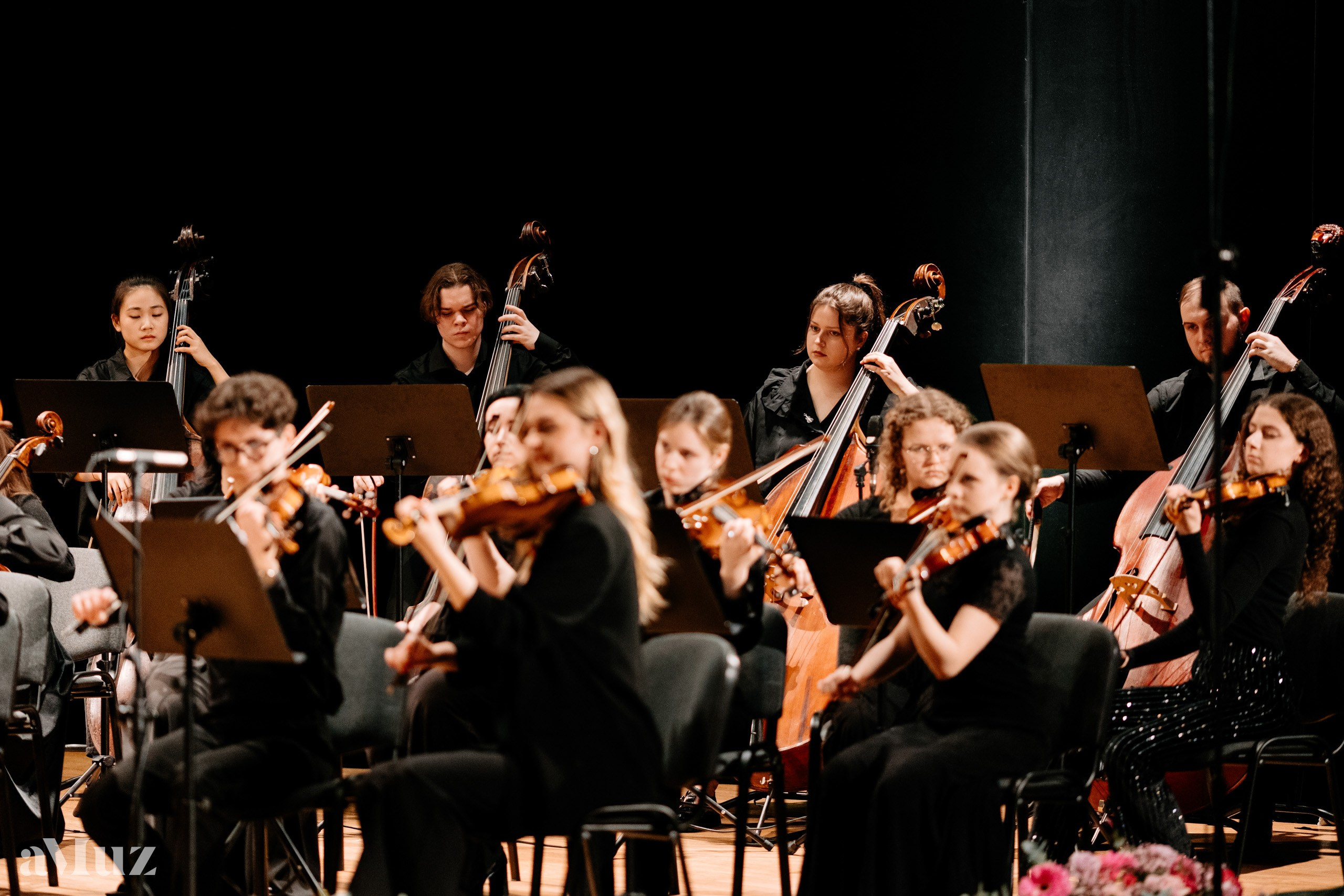 Koncert Karnawałowy. Fotograf Ślubny Warszawa - Sesje Biznesowe Rodzinne Eventy