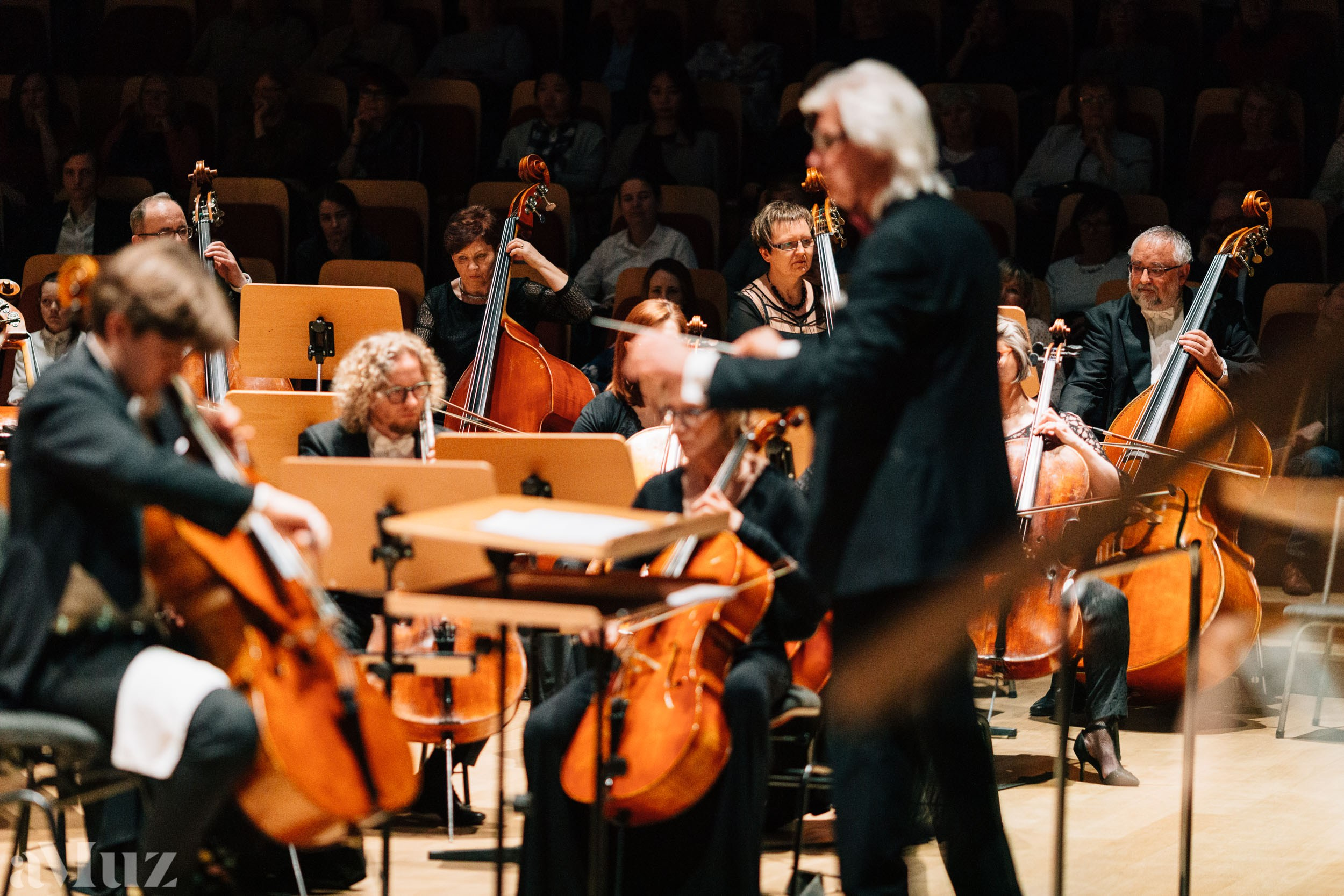 Filharmonia Bałtycka. Fotograf Ślubny Warszawa - Sesje Biznesowe Rodzinne Eventy