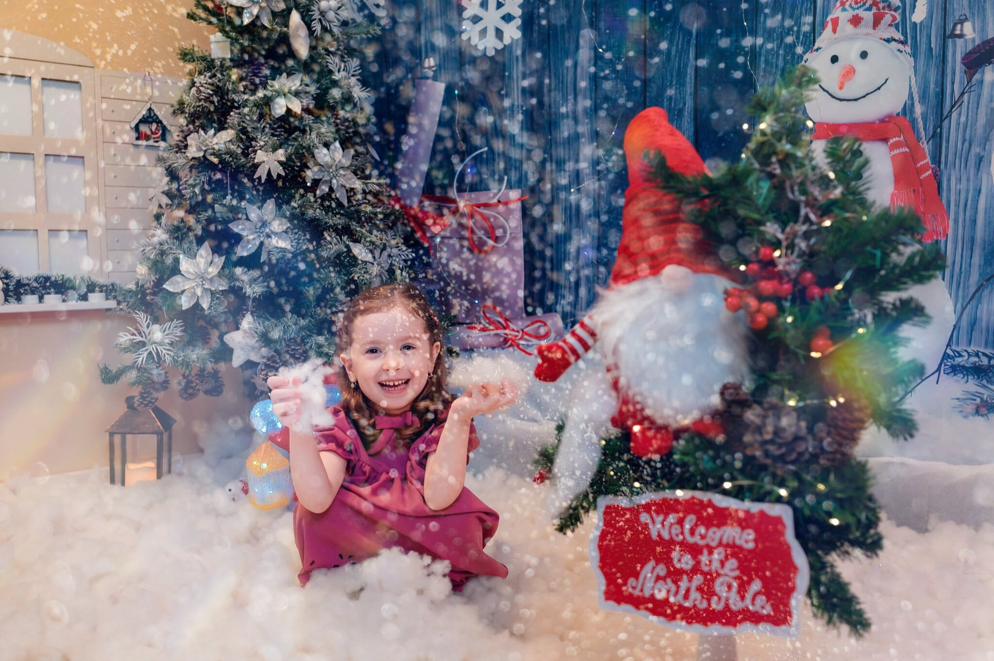 Sedinta Craciun Nicoleta