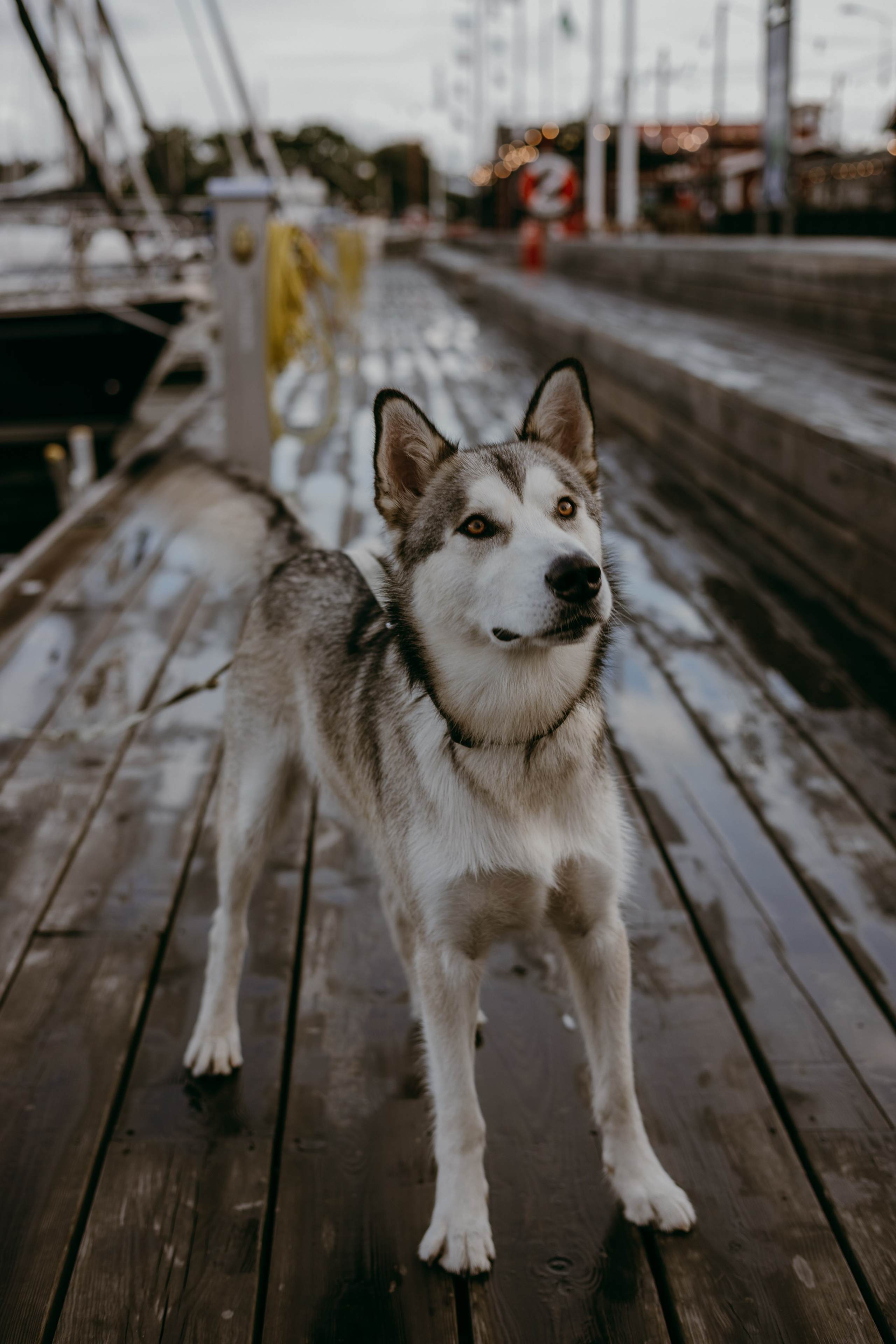 Oksana. Iryna Zhyvora | Photographer | Stockholm