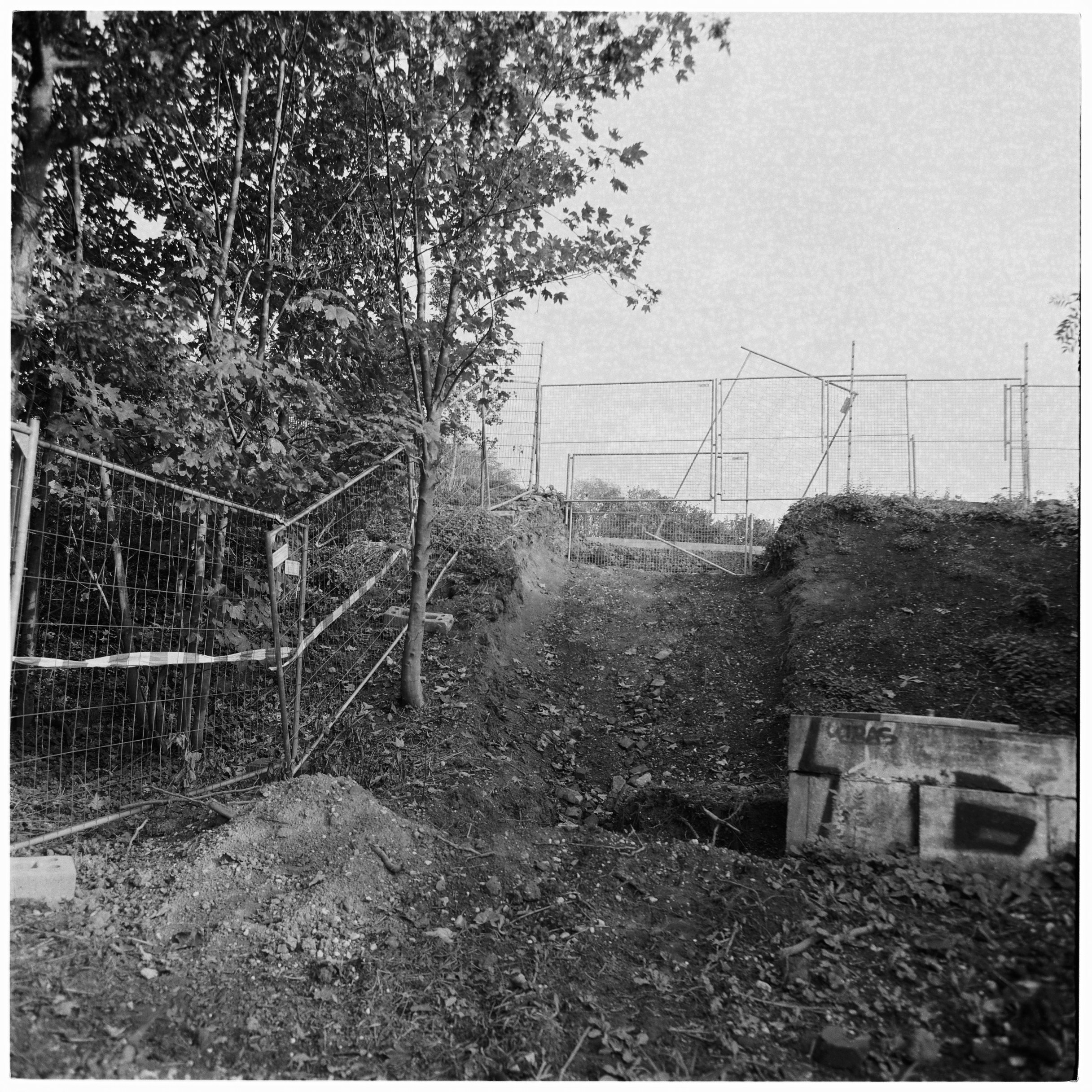 Analog Sketches. Anastasia Musinova