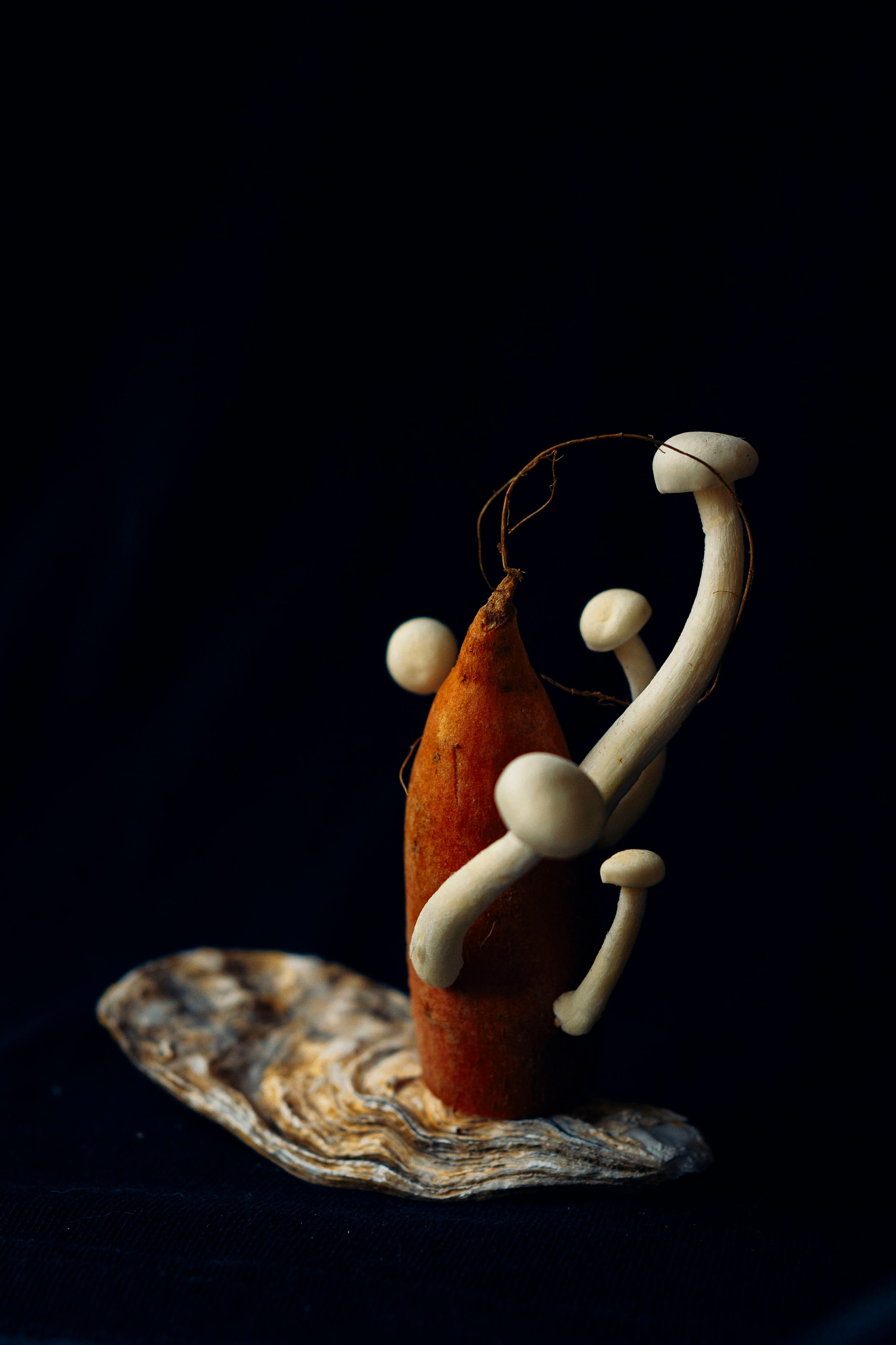 Sweet potato & mushrooms. Maria Sher. Fotógrafa profissional do Porto, Portugal