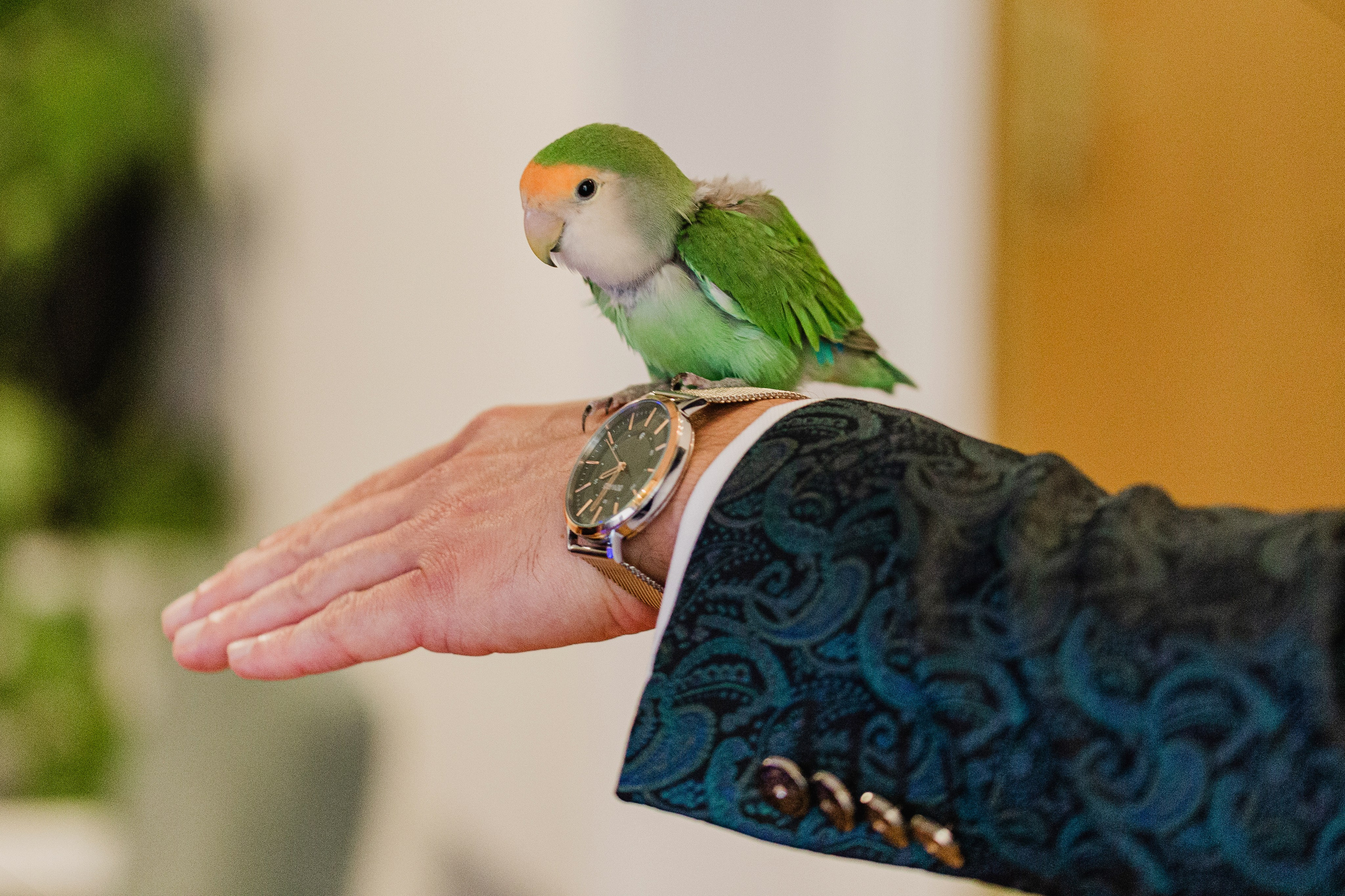 Fotografía de Bodas en Madrid - Rainbox: Capturamos Tu Amor con Pasión. Rainbox Estudio de Fotografía