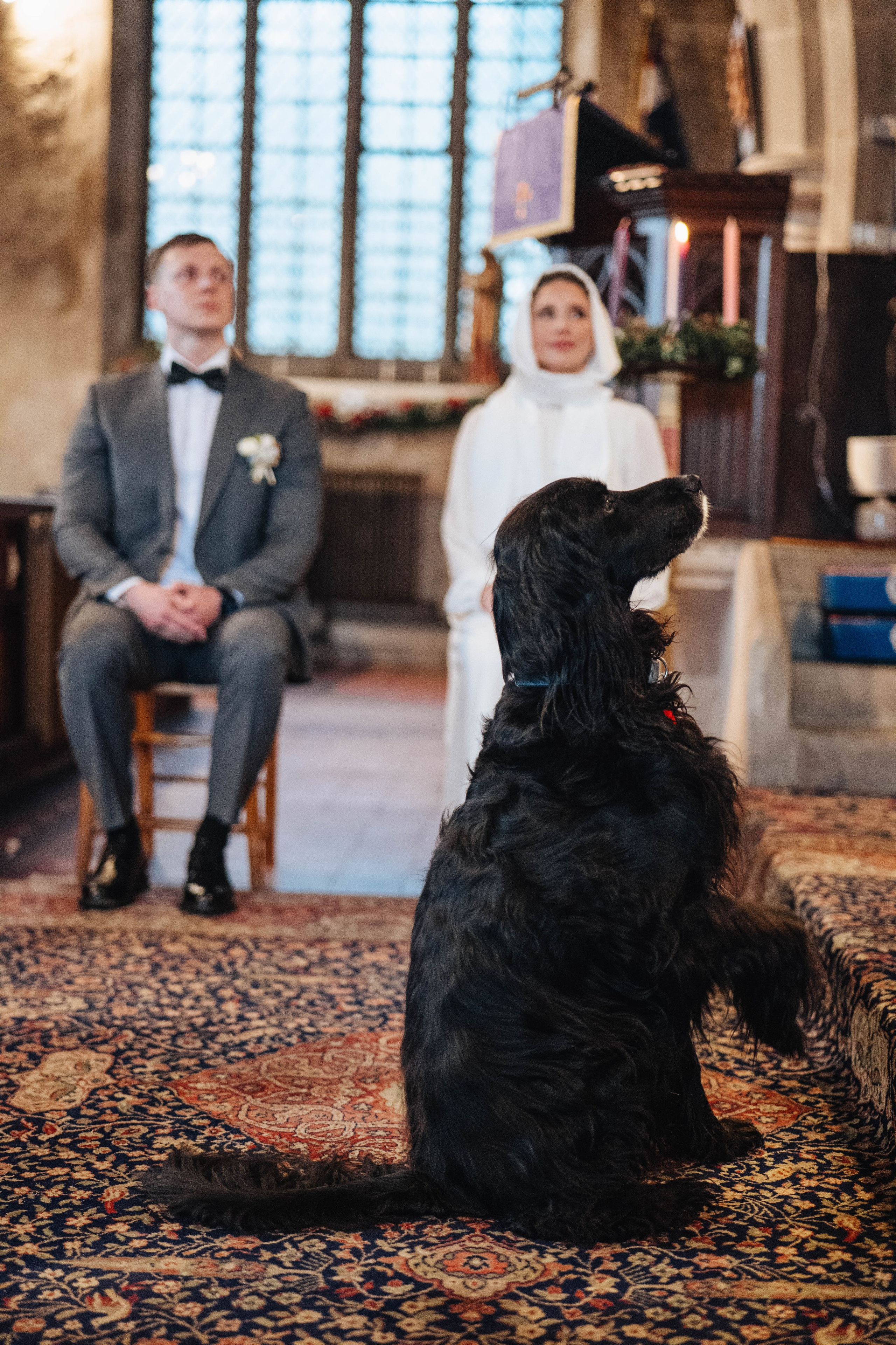 Dog is having fun in church