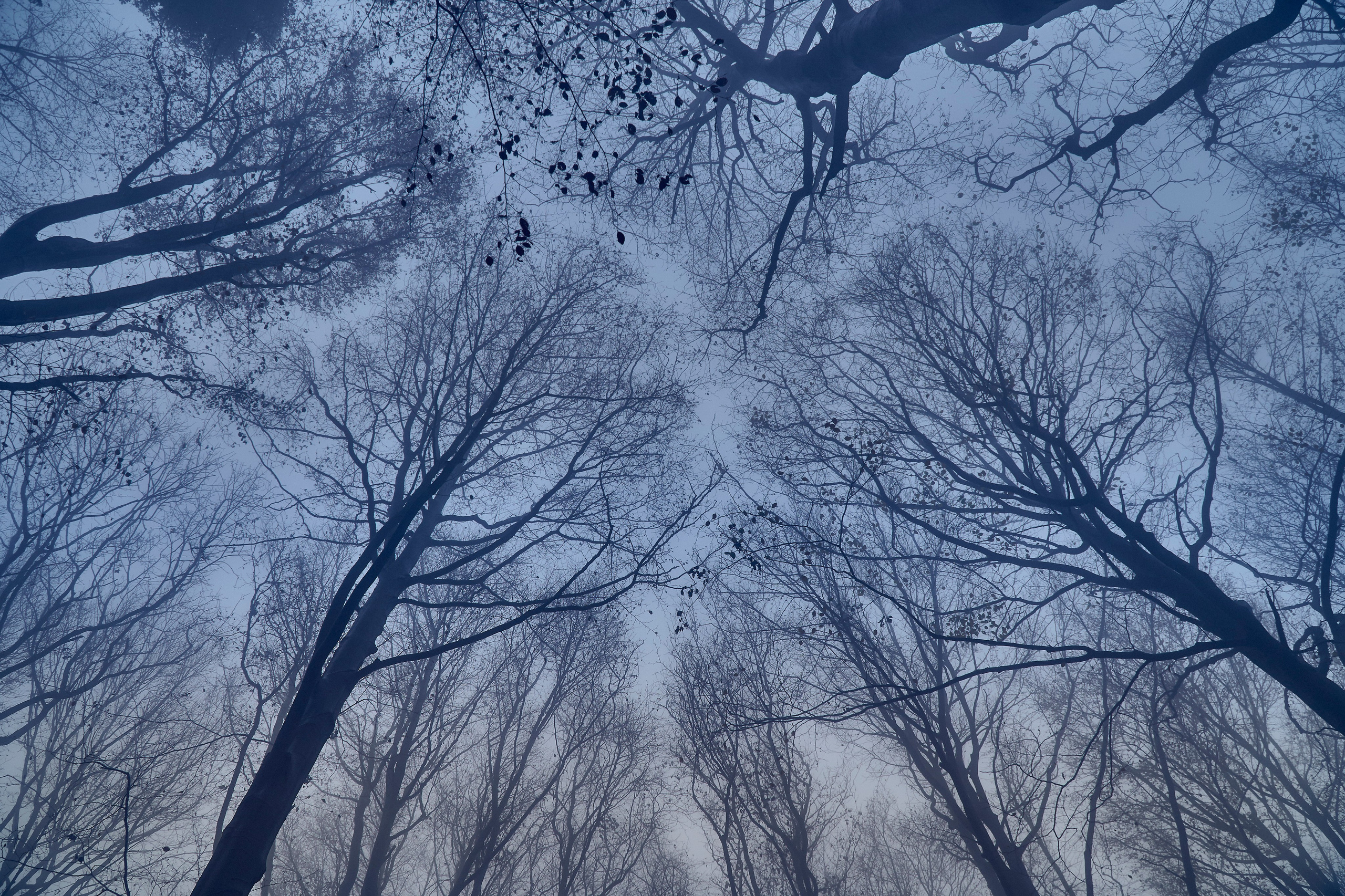Bieszczady - tu zatrzymuje się czas. Andriej Szypilow - Fotografia & Wideografia