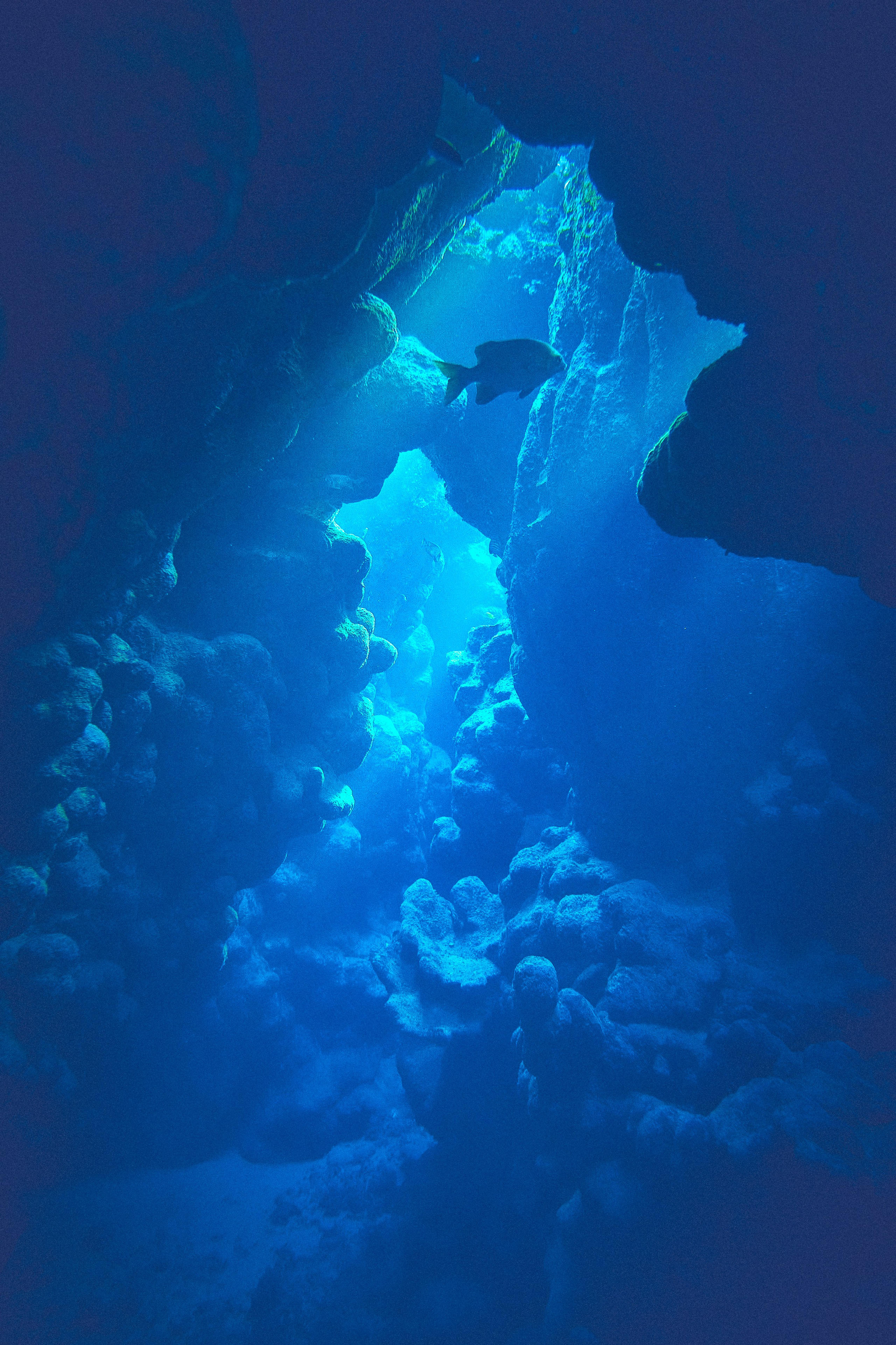 2023-11 - Diving Safari Deep South Egypt. Андрей Шипилов — Фотография & Видеография