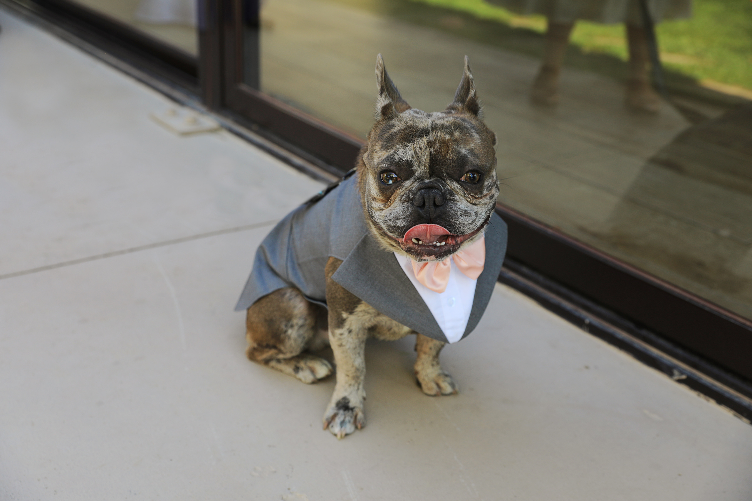 «Siempre te querré». Fotografía de Eventos, Embarazo y Familiar en Pirineos