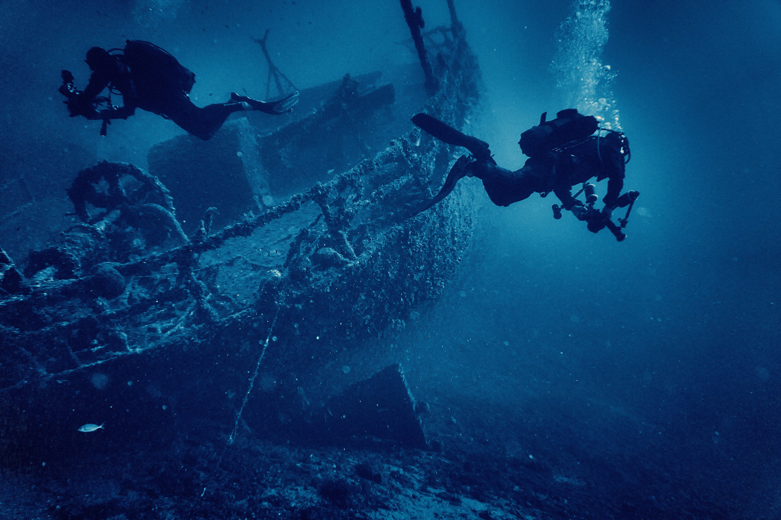 Fotograf podwodny Andriej Szypiłow. Andriej Szypilow - Fotografia & Wideografia