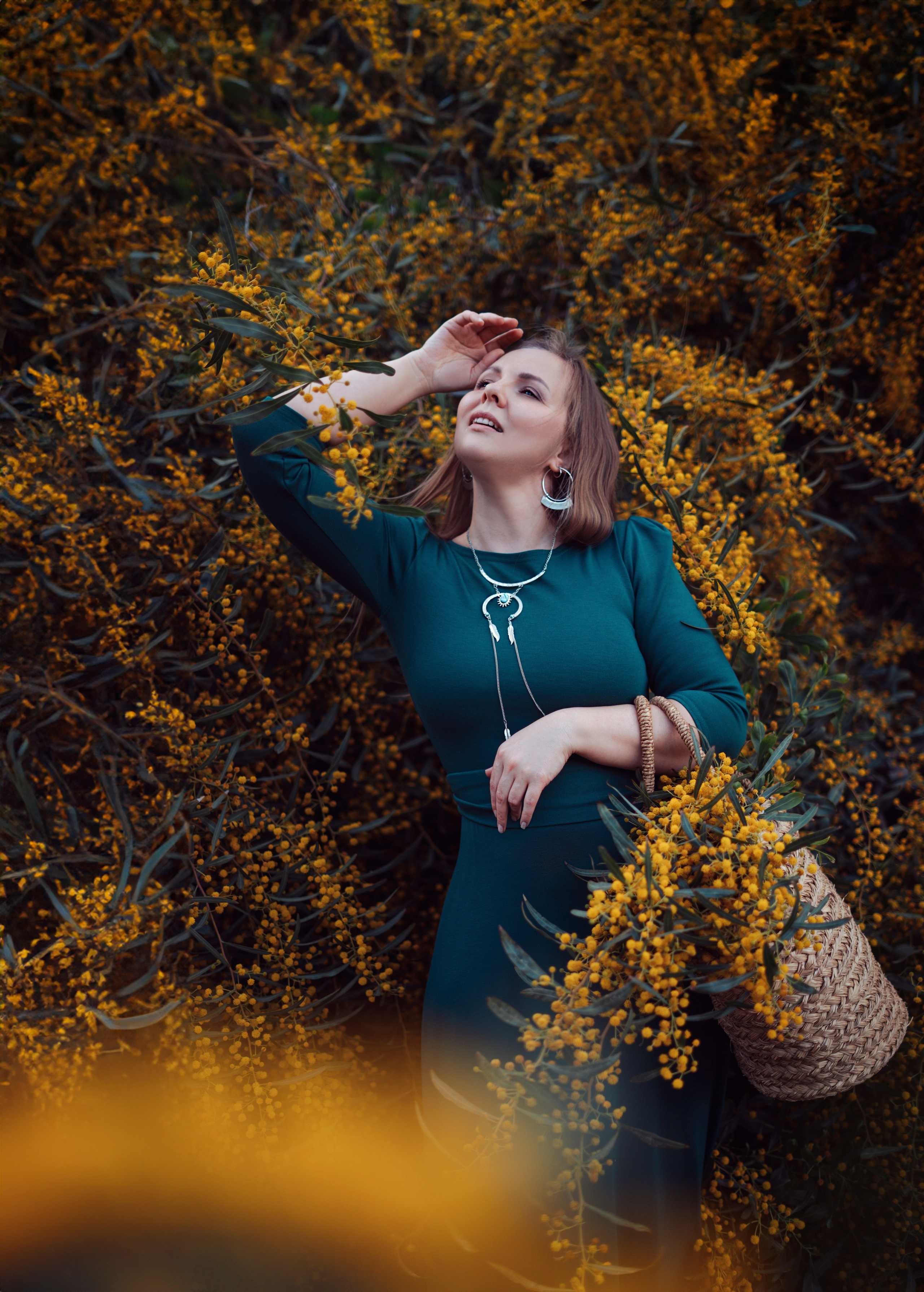 Мимоза. Анастасия Благова — Твой фотограф в Малаге 🇪🇸