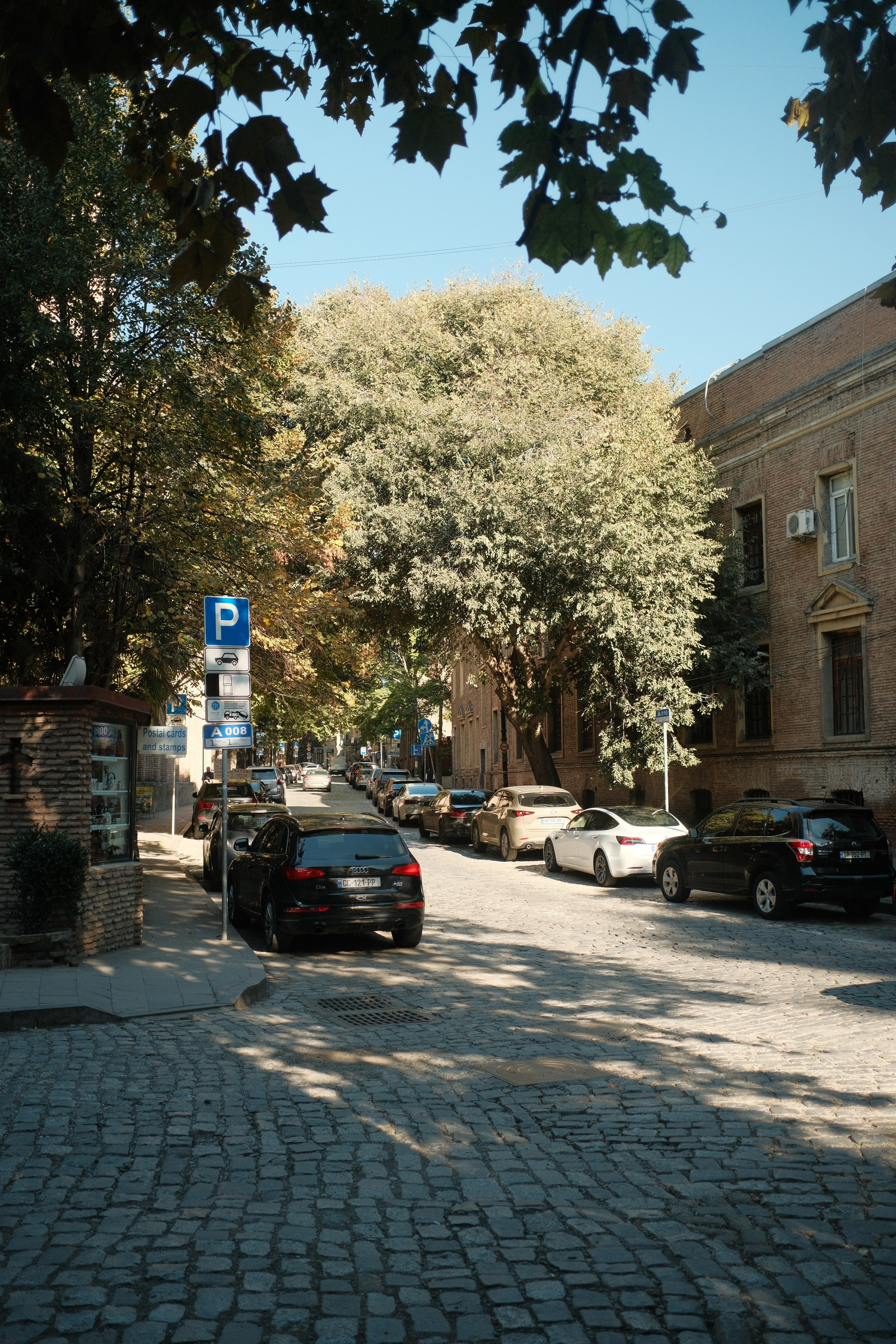 Georgia. Nikita Pavlov, Photographer — Vienna, Austria