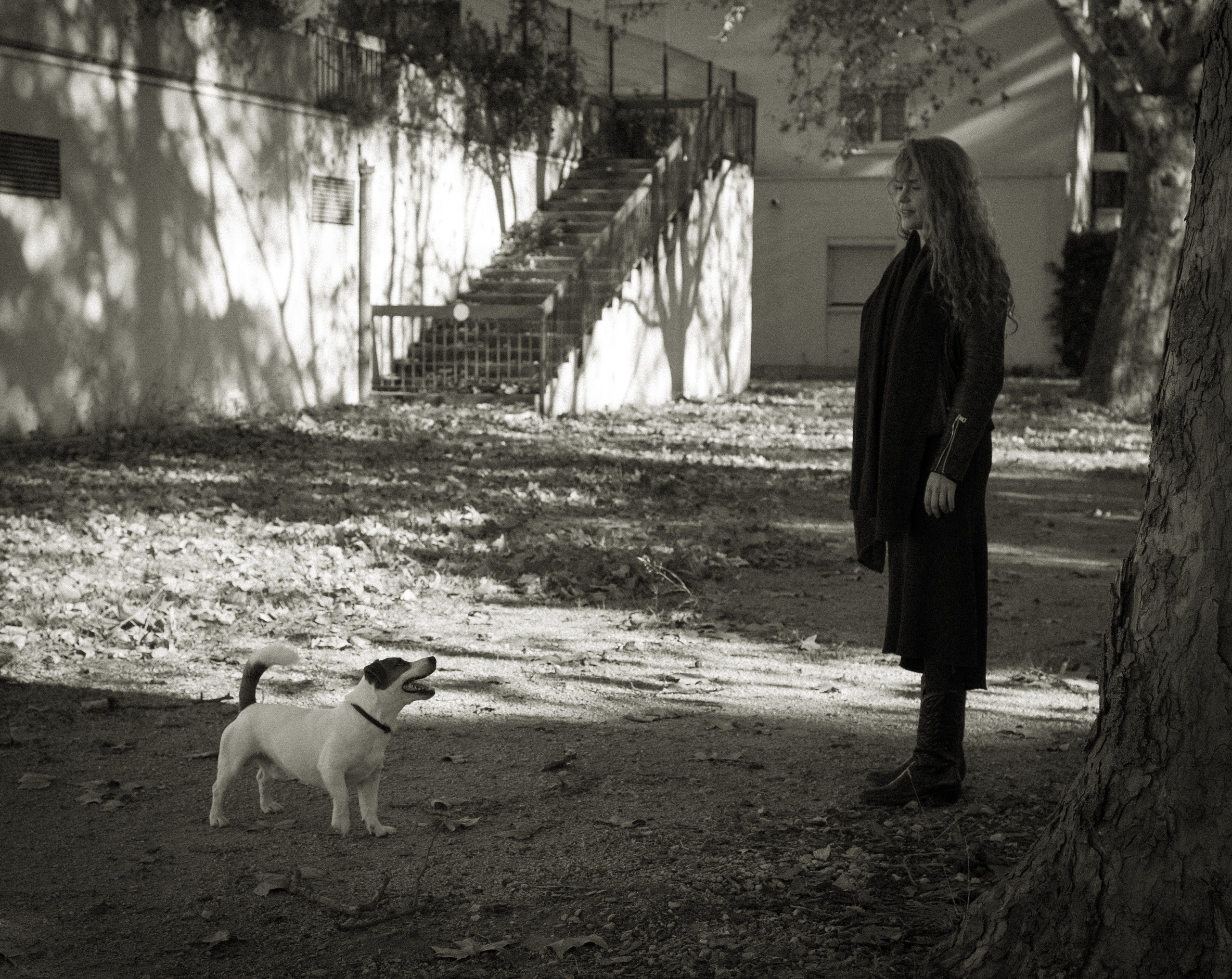Sunrise. Histoires d’amour, séances photos de famille et de mariage en France