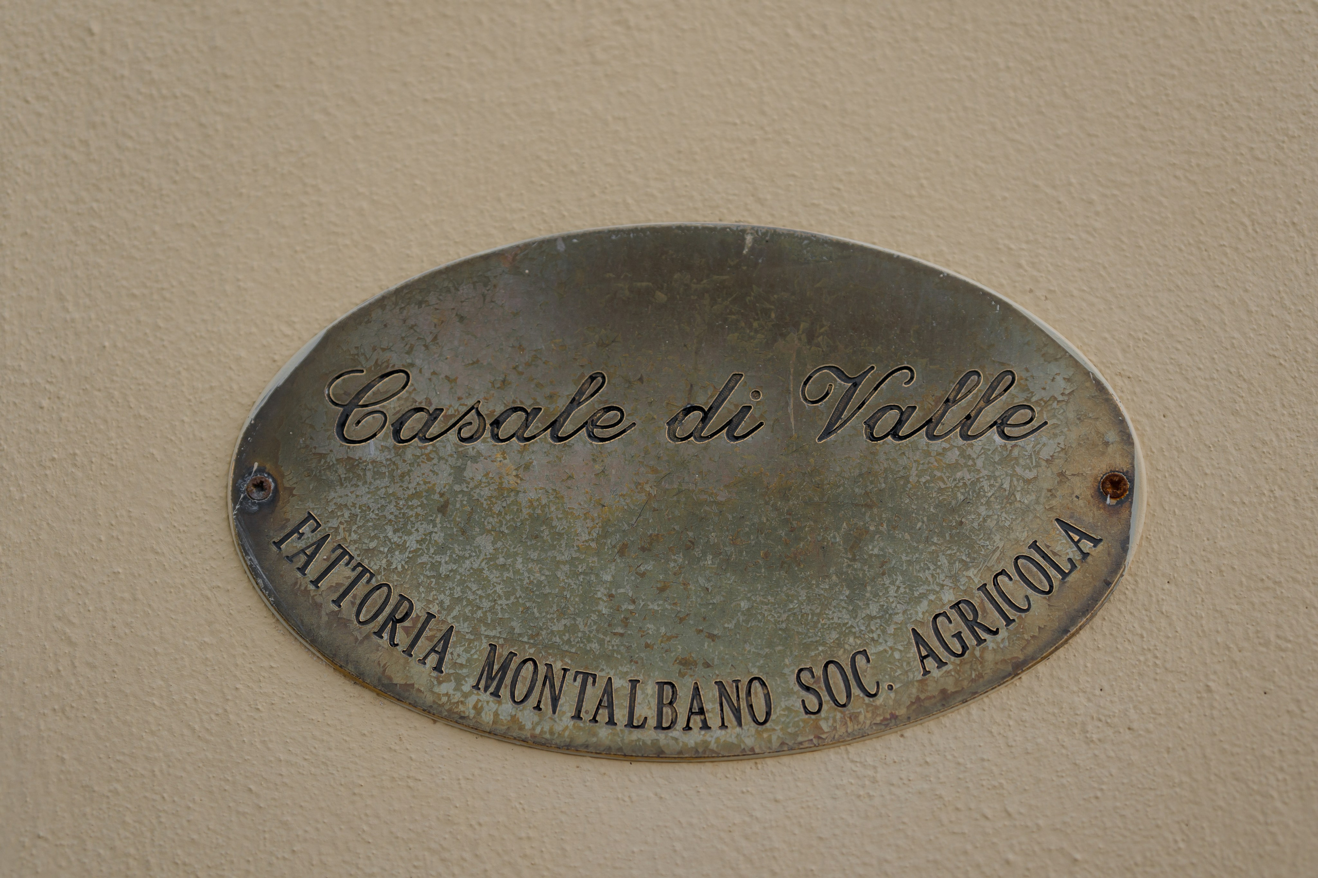 Dom&Ally. Wedding photographer Italy