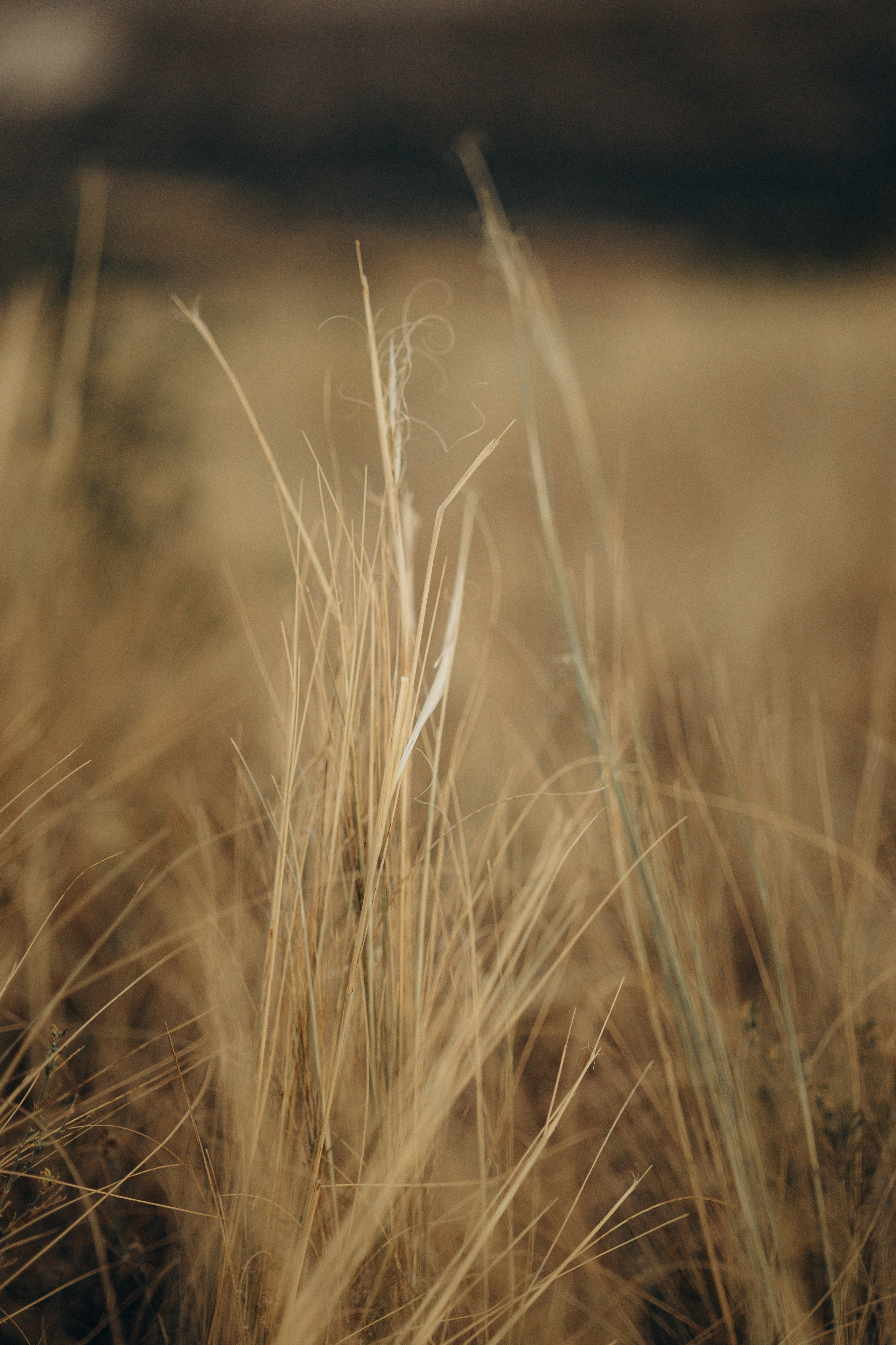 .оксана_orhei veche