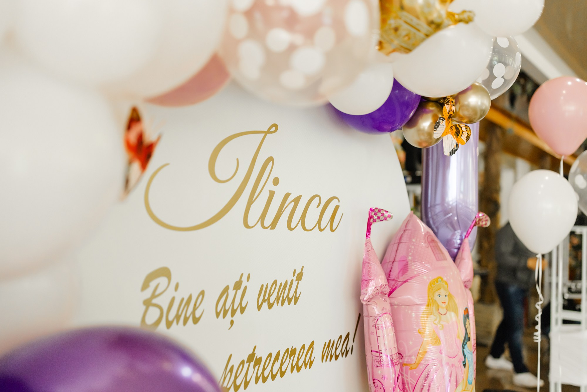 Ilinca. Fotograf și videograf de nuntă R. Moldova, Romania