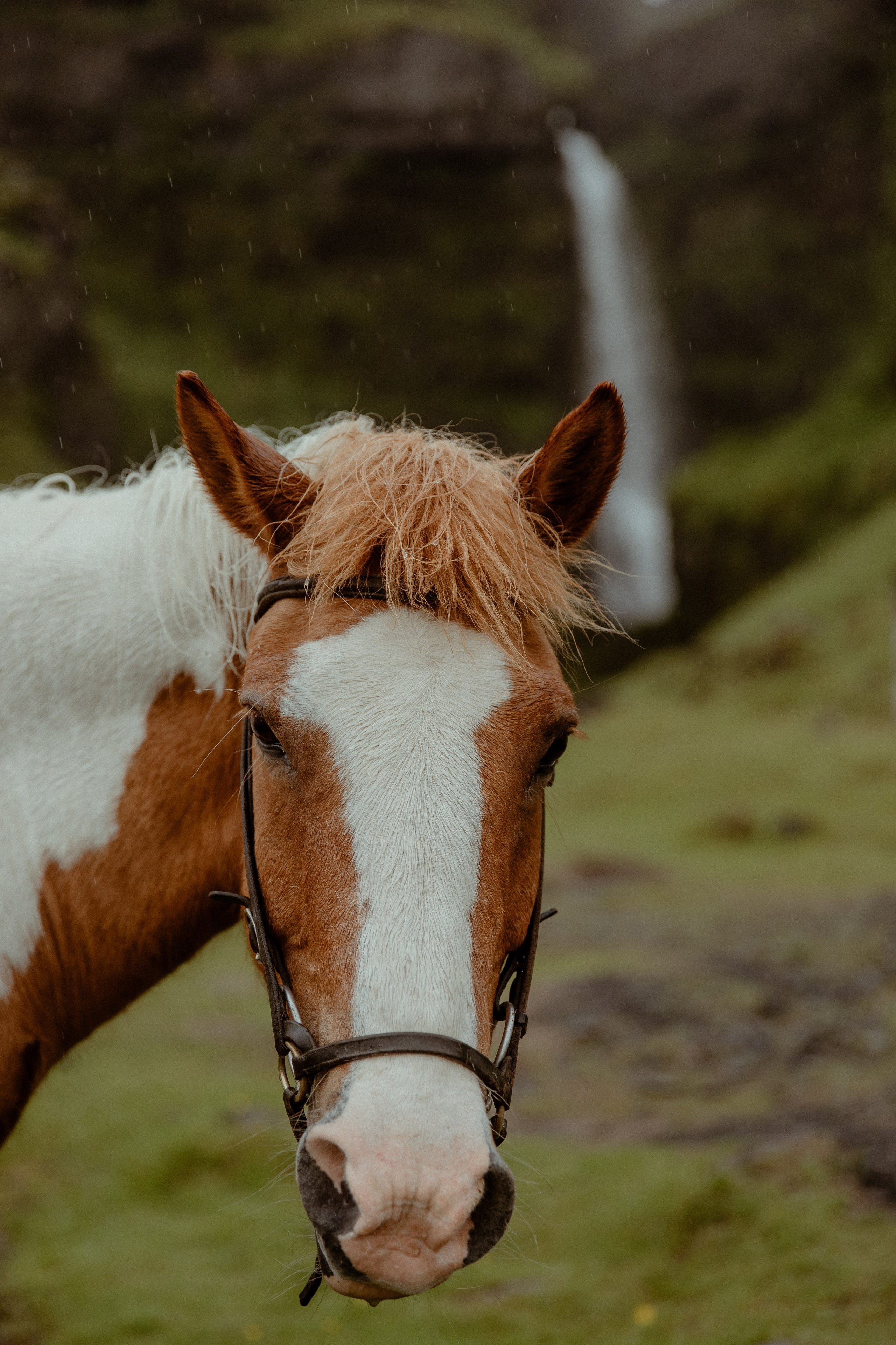 Elopement at Kvernufoss Waterfall. Iceland elopement photo and video | Nikolaichik Photo