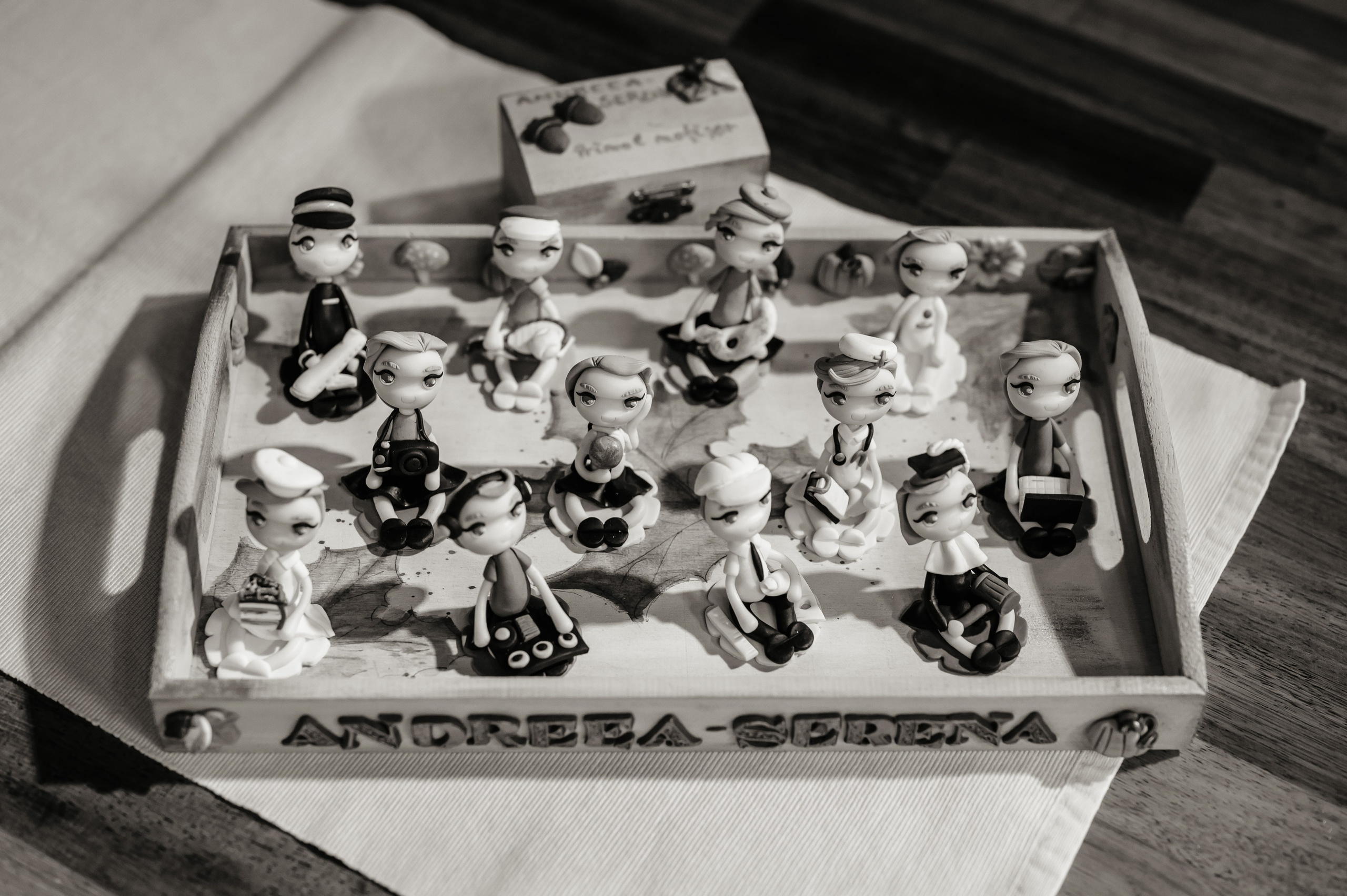 Fotograf turta Serena