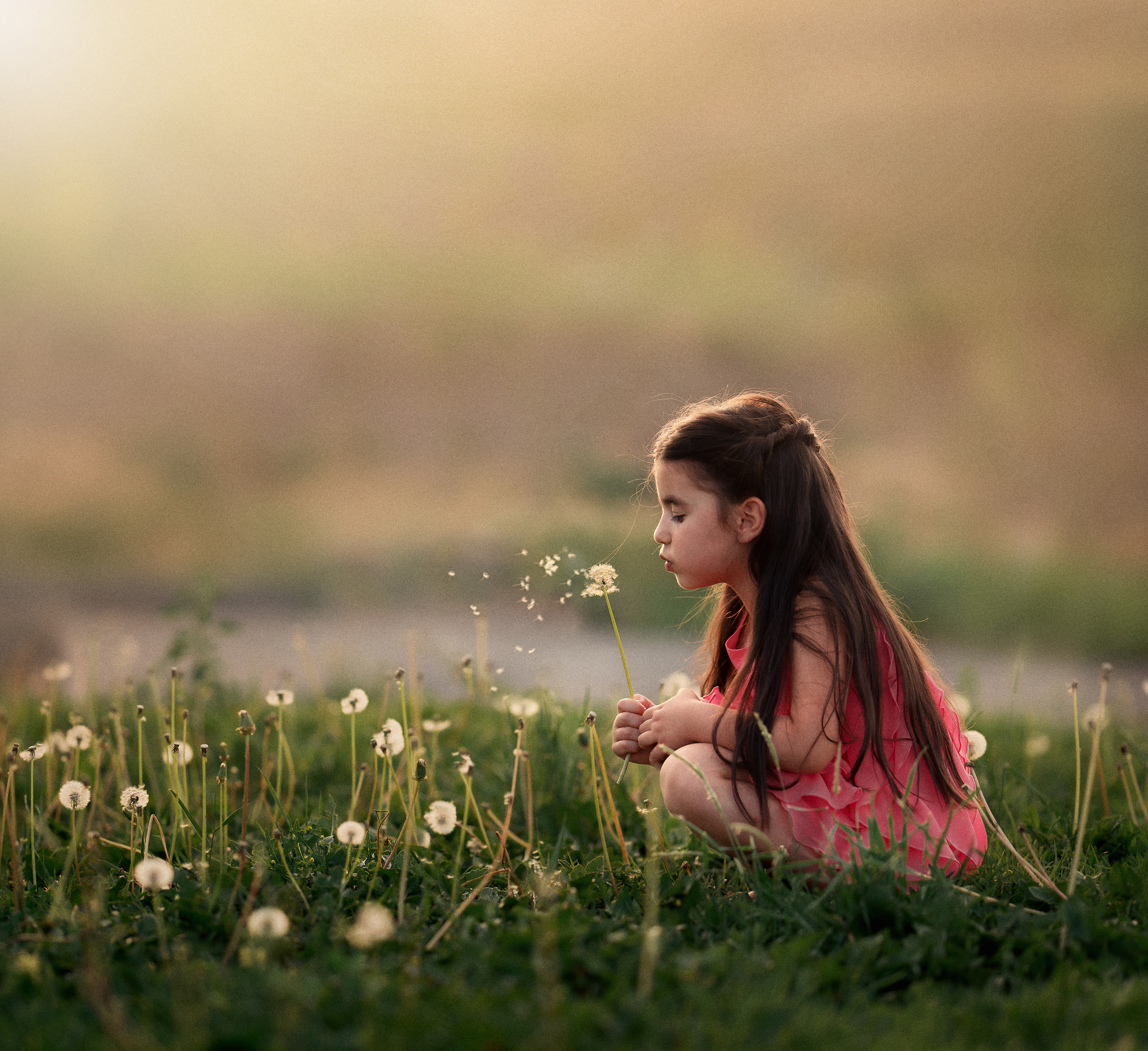 Kinderfotograf Würzburg. Anna Saribekyan – Beste Hochzeitsfotografin in Würzburg, Top 10 in Deutschland