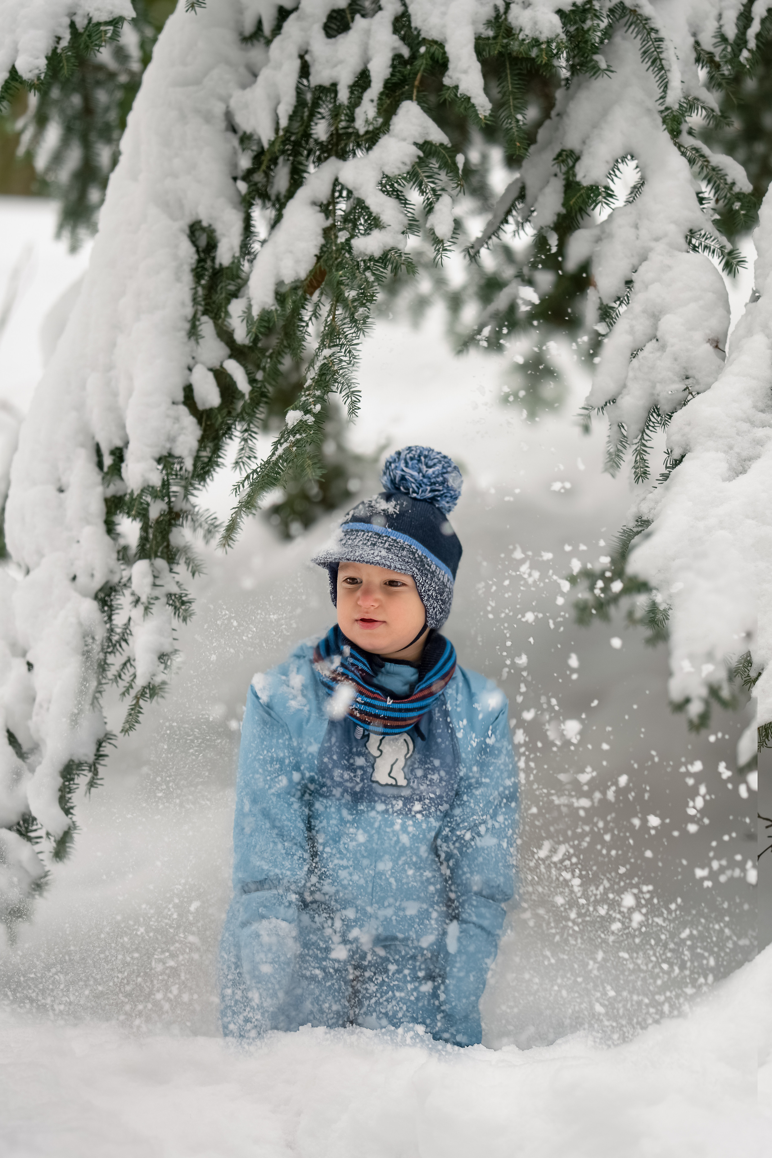 Kinderfotograf Würzburg. Anna Saribekyan – Beste Hochzeitsfotografin in Würzburg, Top 10 in Deutschland