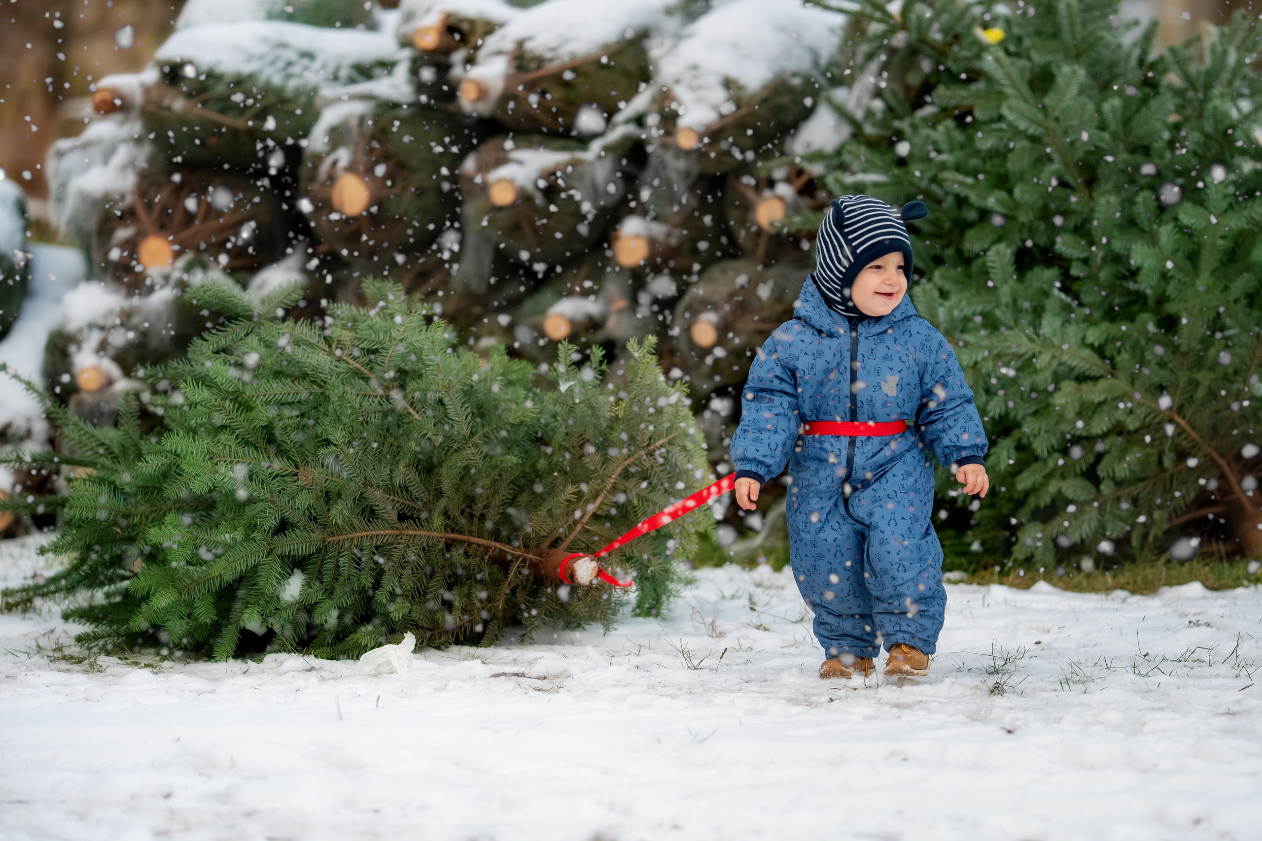 Kinderfotograf Würzburg. Anna Saribekyan – Beste Hochzeitsfotografin in Würzburg, Top 10 in Deutschland