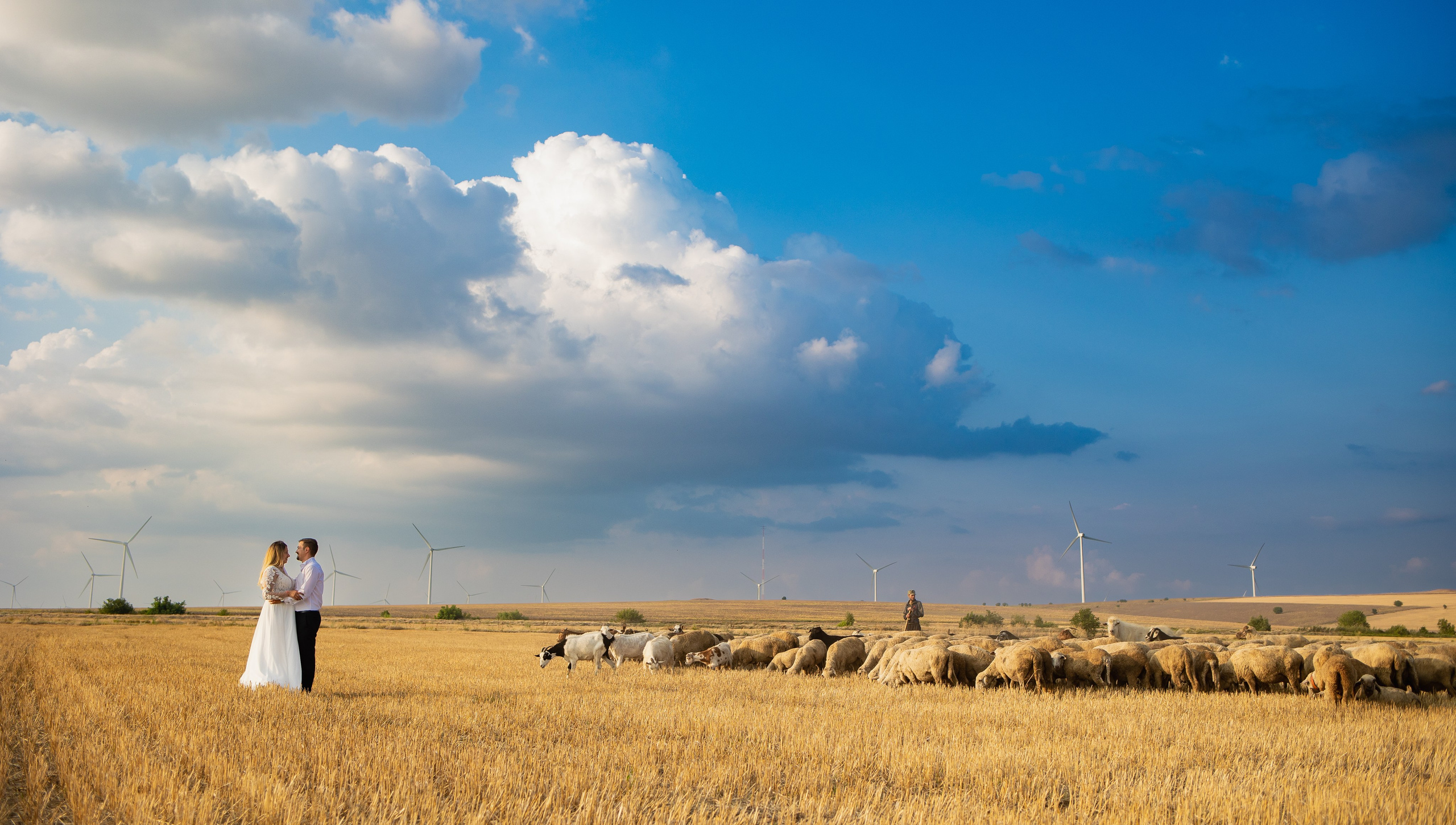 Fotografii de la sedinte foto Trash the Dress. Codux — Fotograf Tulcea | Fotograf Evenimente