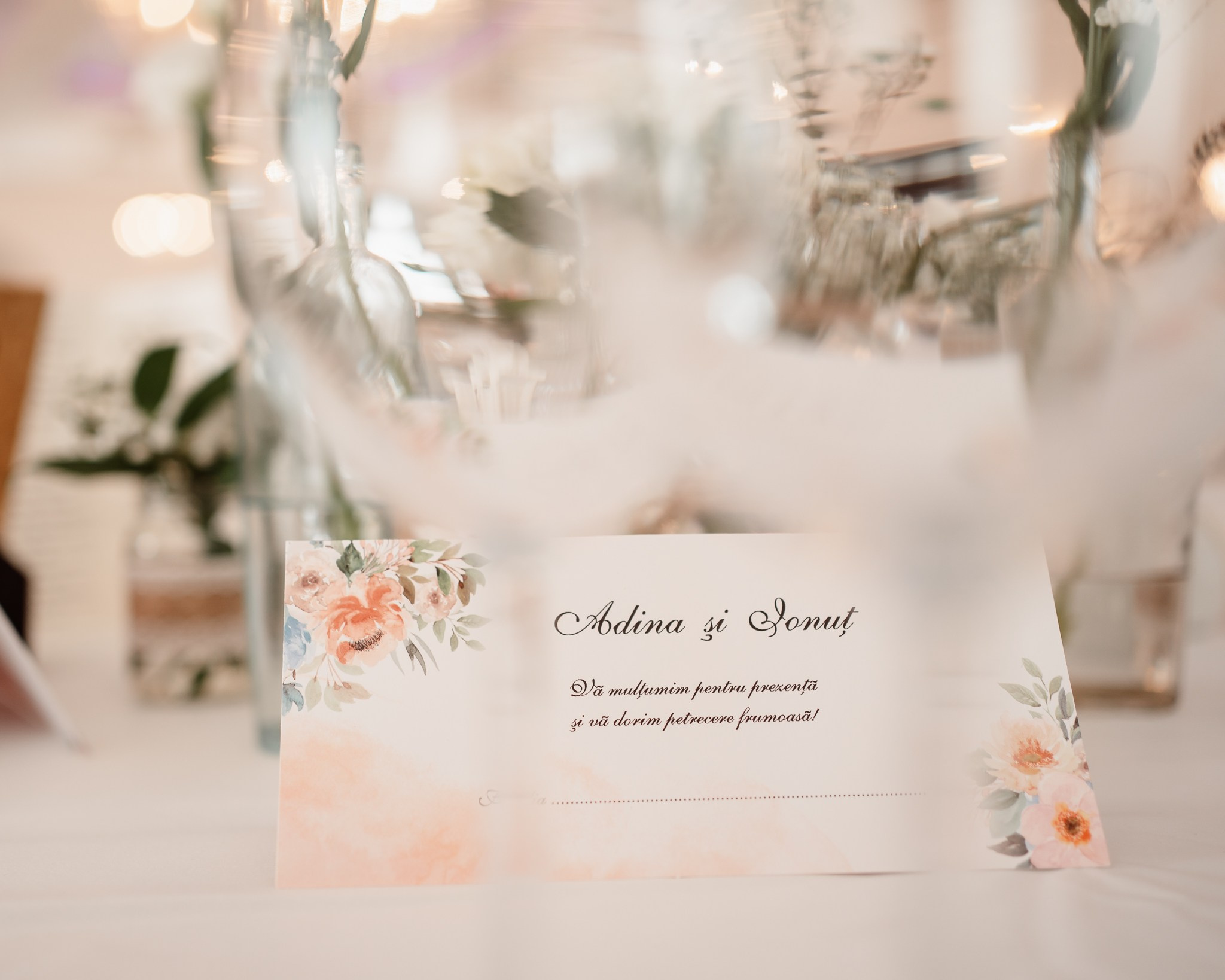 Moment emoționant între miri în ziua nunții, surprins într-un cadru natural și romantic, la Conacul din Livada. Fotografie de nuntă profesională, editată artistic pentru a evidenția emoția și eleganța evenimentului.