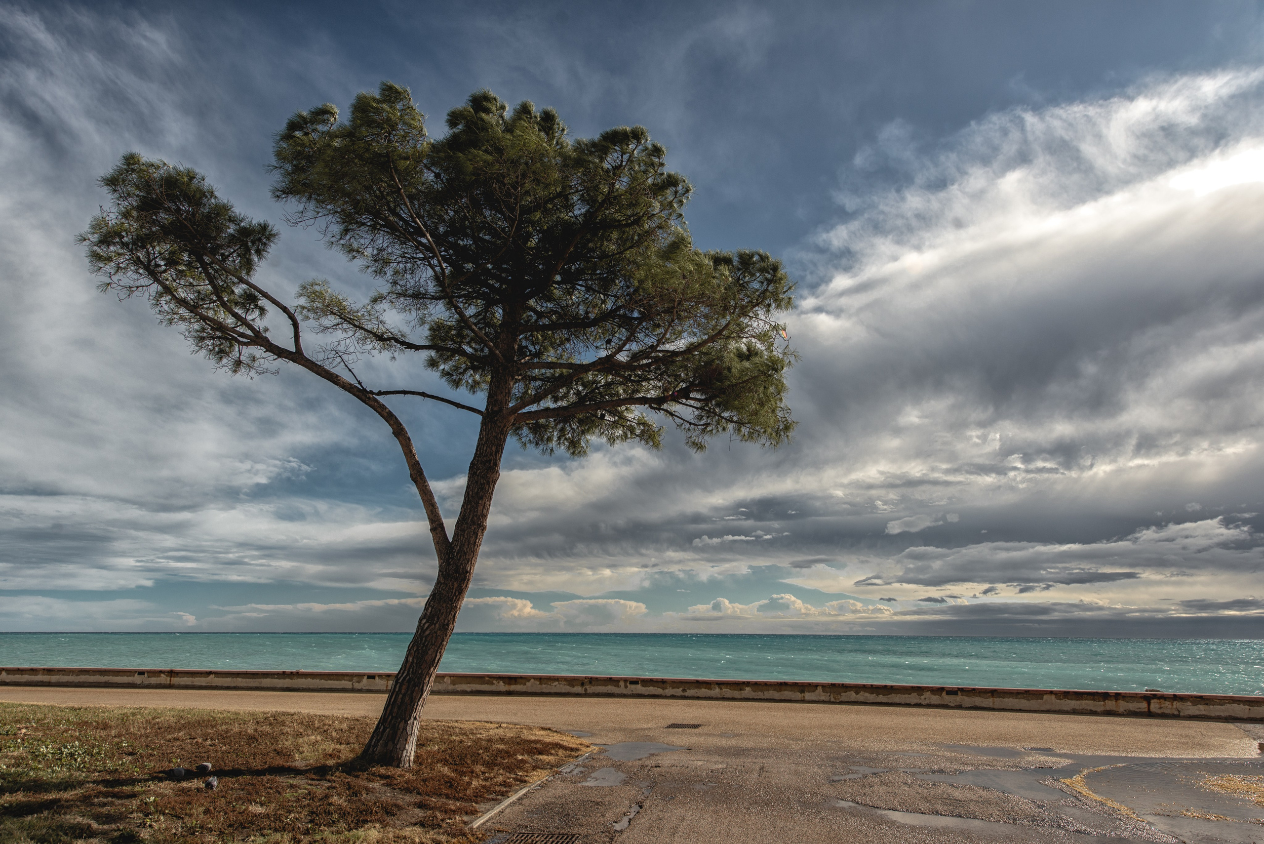 Menton. Семейный и детский фотограф на Лазурном Берегу