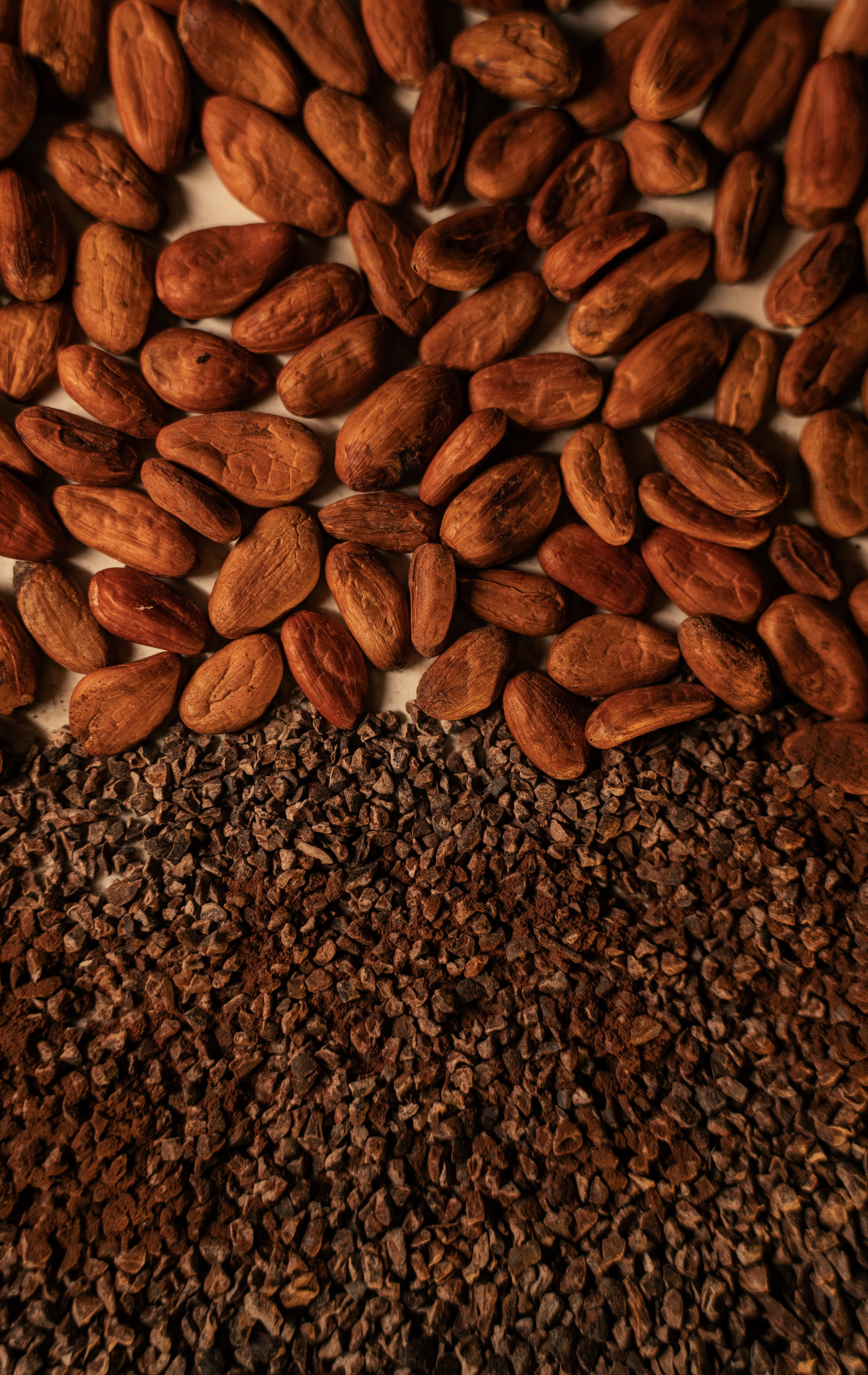 GALLERY. Χαλβάς Ελευθερίου