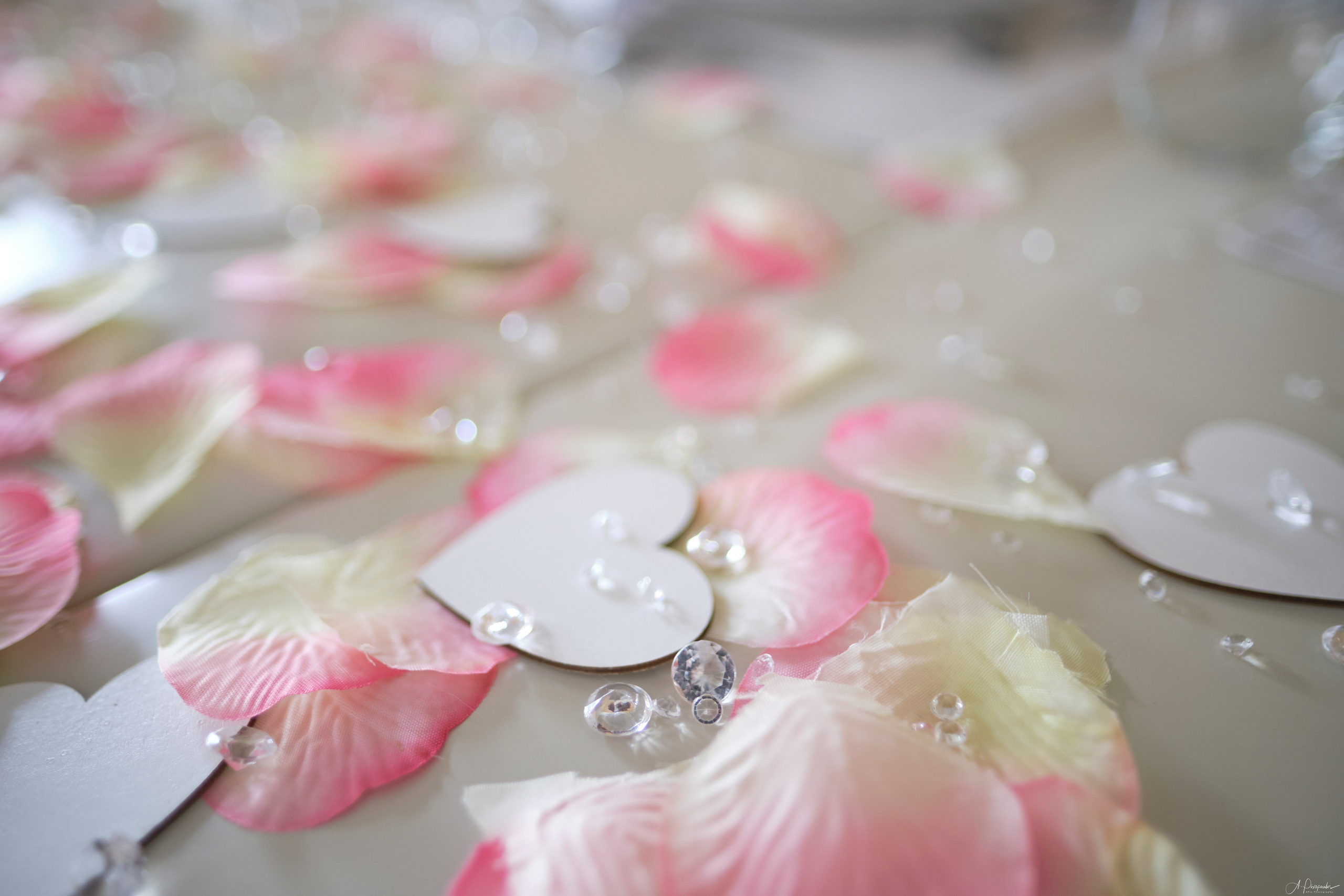 Sam & Haley Wedding Day (Sani Resort — Halkidiki). Φωτογράφος Αναστάσιος Πιξόπουλος