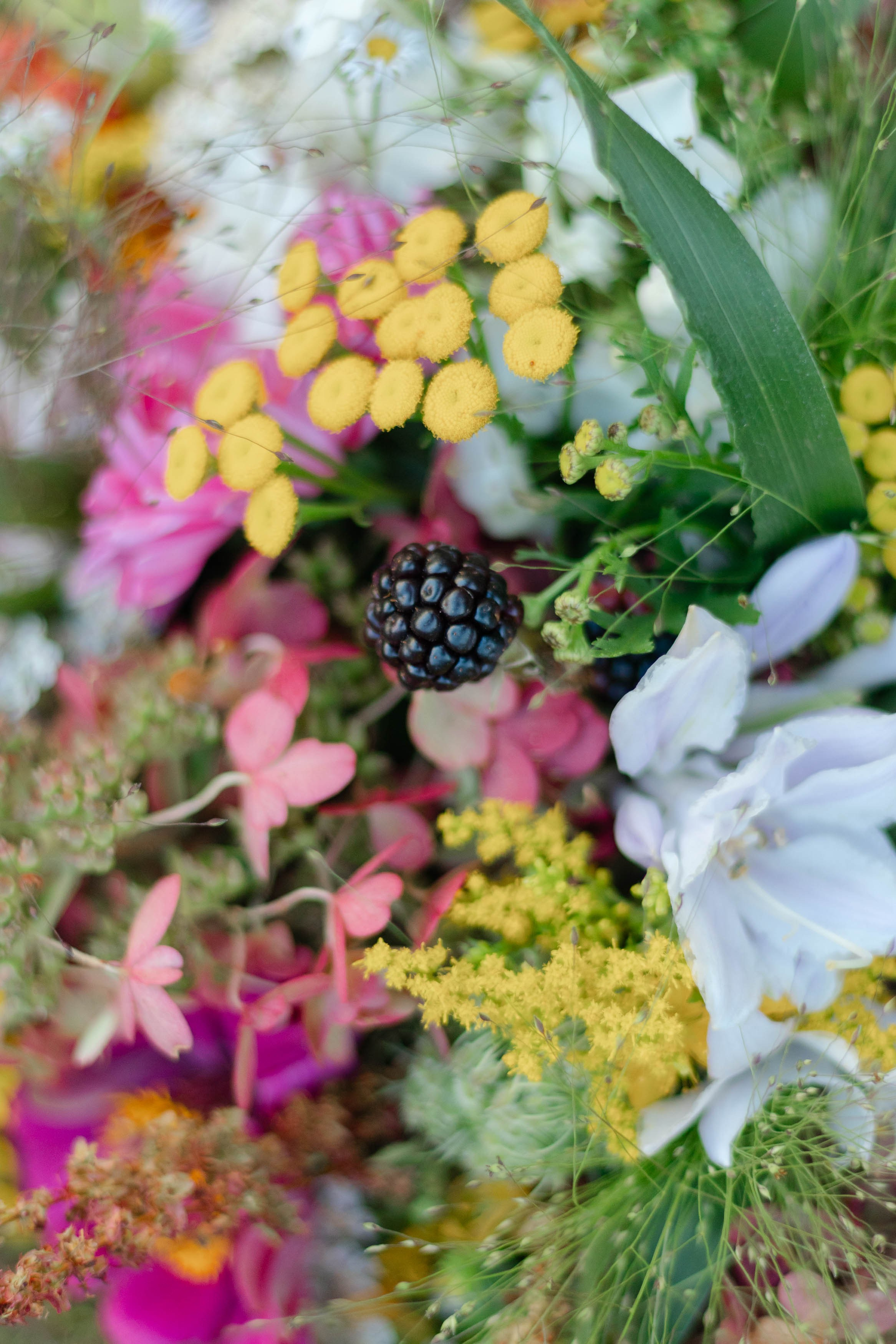 Svatba. Fotografka Andrea Hlaváčová / Karlovarský kraj / Karlovy Vary Sokolov