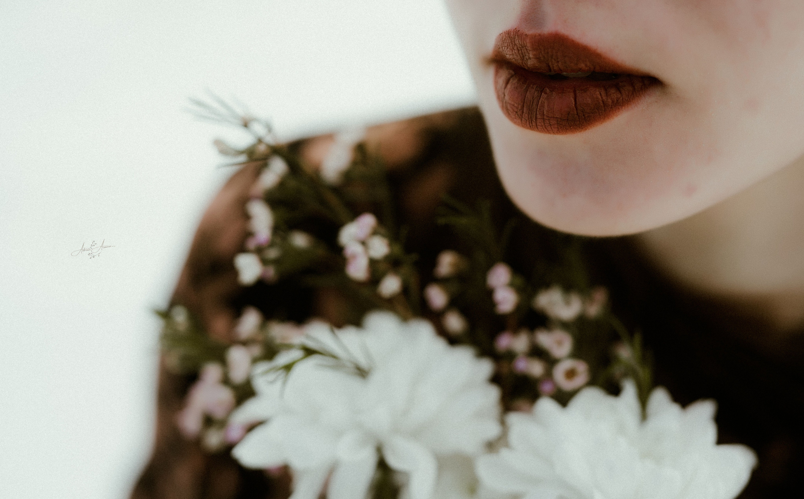 Daria, february 2025. Adrian Aioanei — Fotograf profesionist de nuntă în Iași, Suceava și București. Specializat în evenimente, portrete și fine art