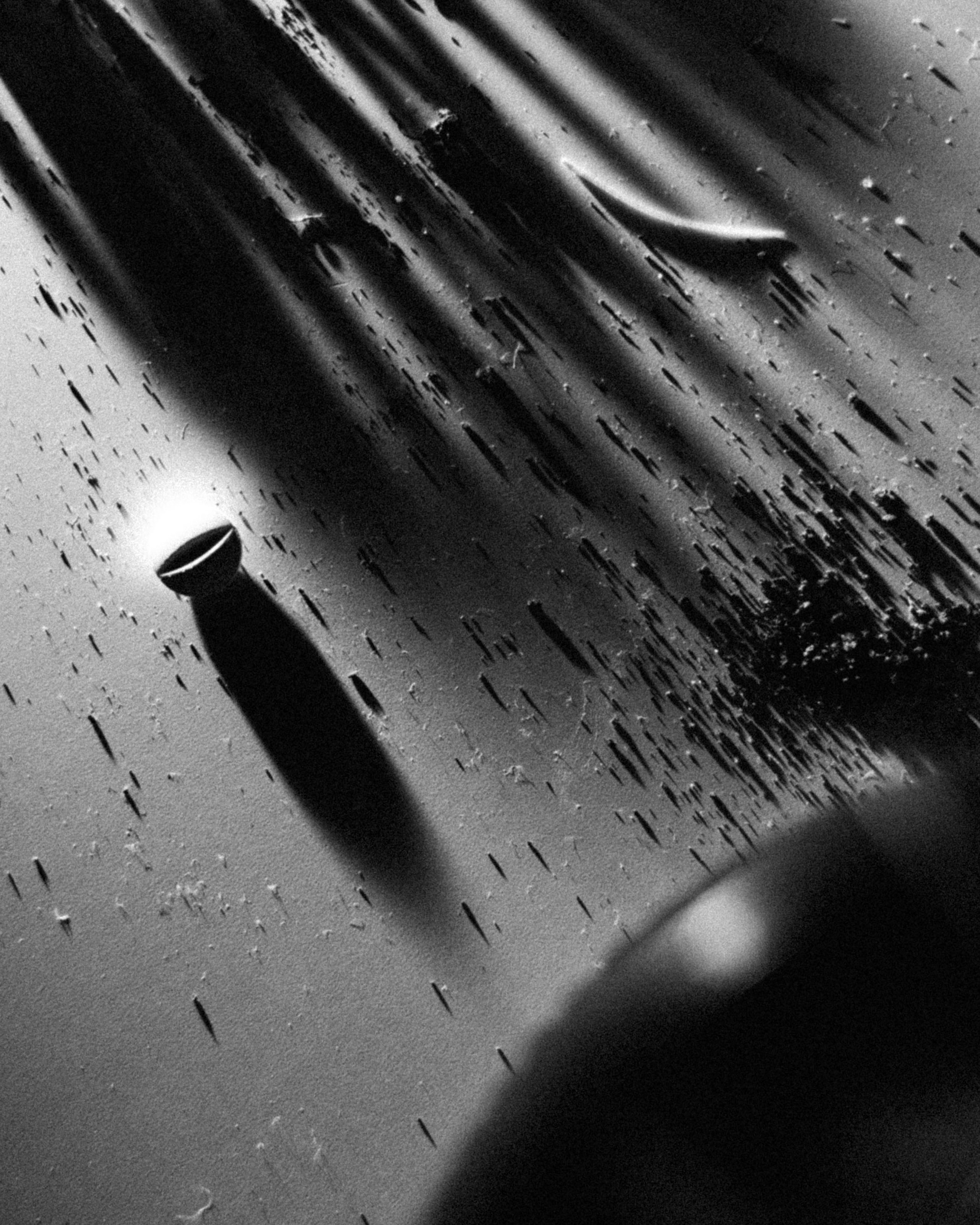 Self-reflection. Hey, that’s me, sarah