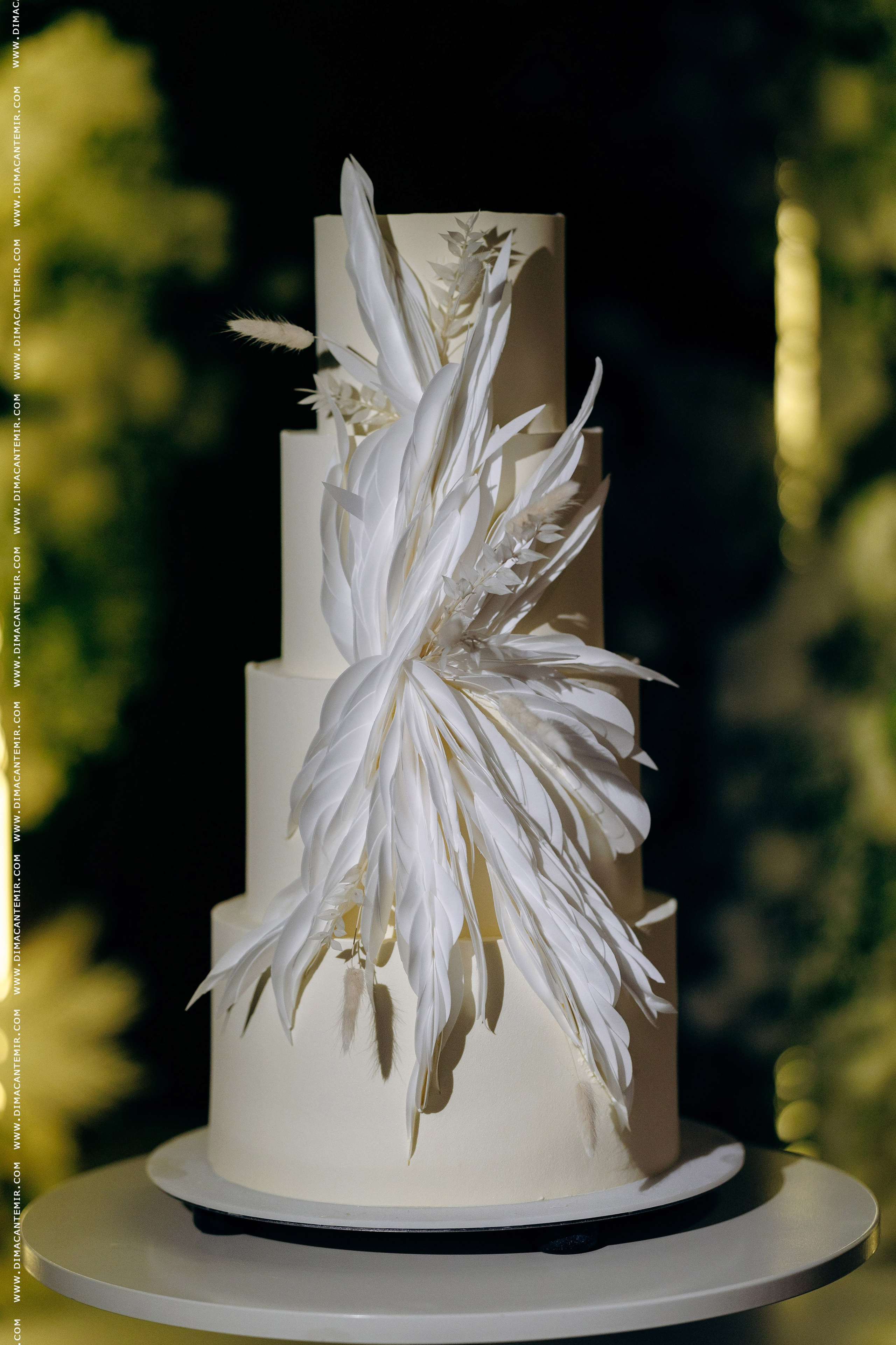 MIHAIL + SABINA | Grand Élysée. Fotograf de nuntă în Chisinau, Moldova. Poze și Video Comerciale