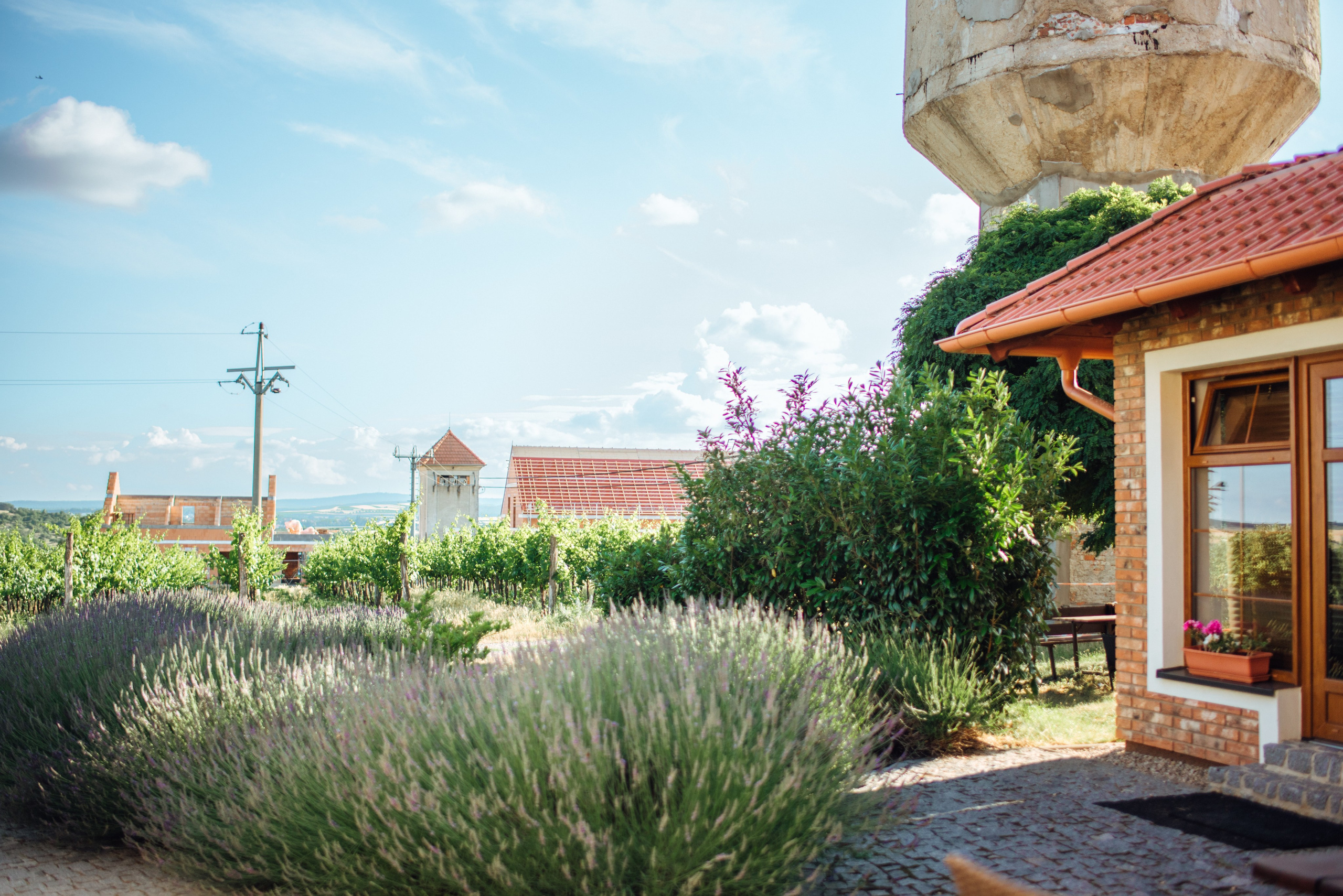 Lucie + Michal. Lifestyle, wedding and family photographer