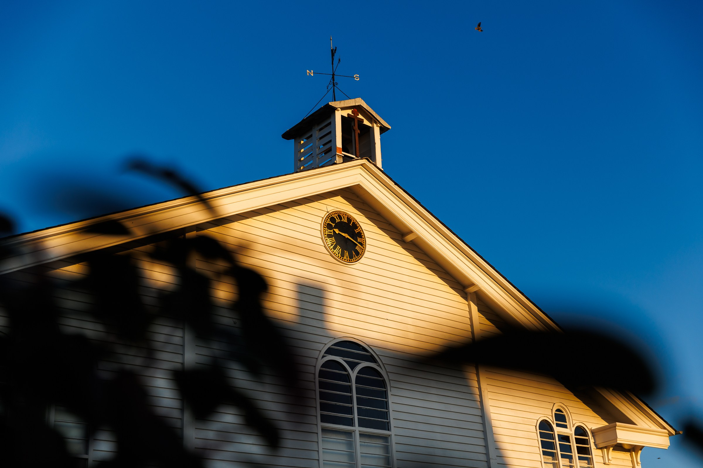 Wedding. Https://valphoto.wfolio.pro/