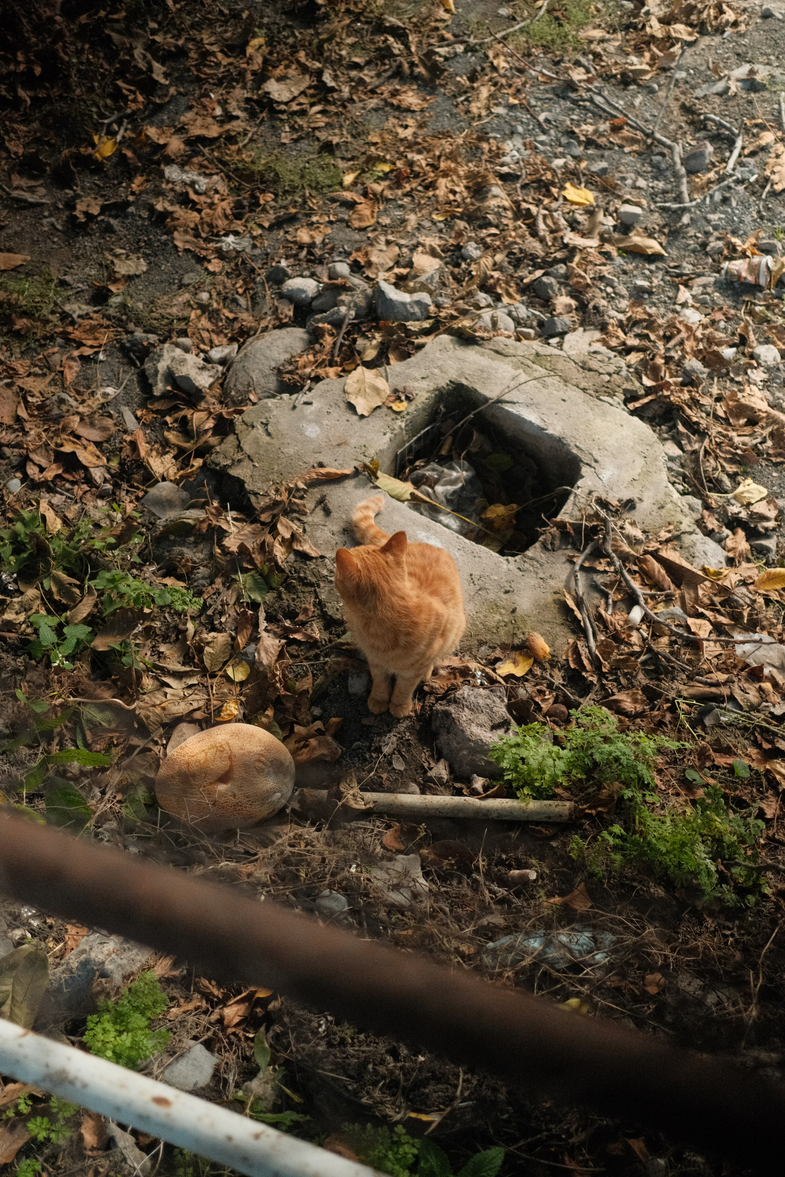 Armenia. Nikita Pavlov, Photographer — Vienna, Austria