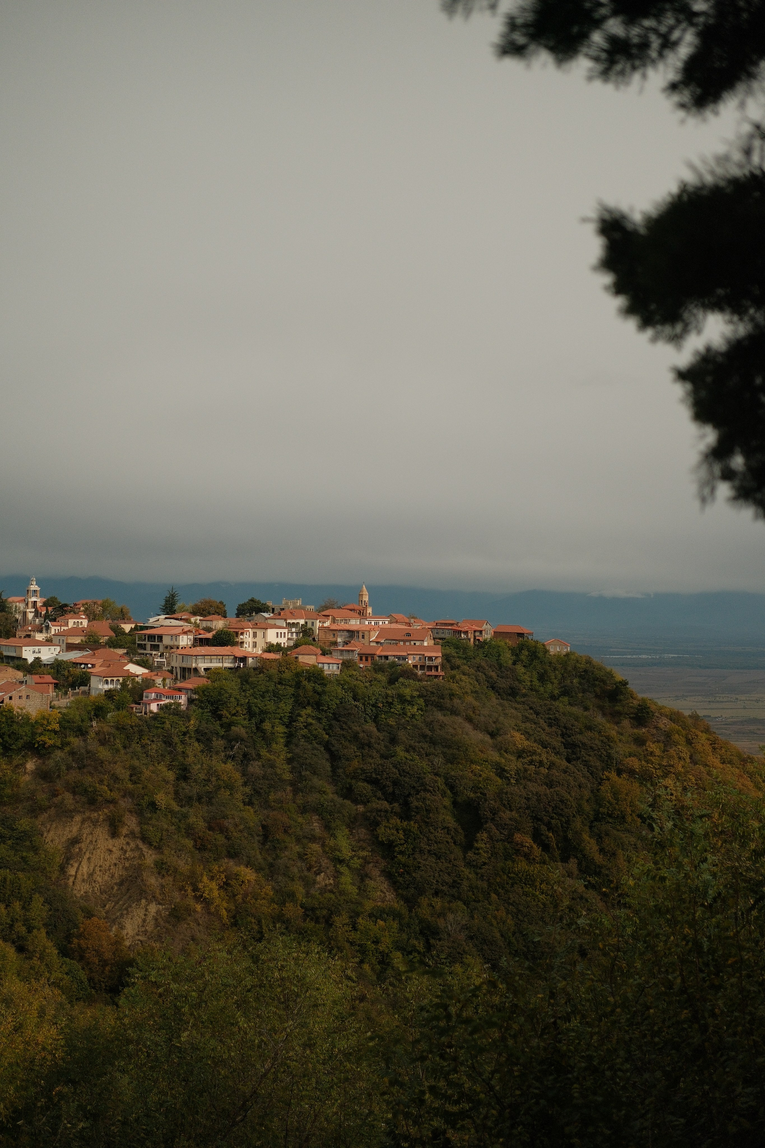 Georgia. Nikita Pavlov, Photographer — Vienna, Austria