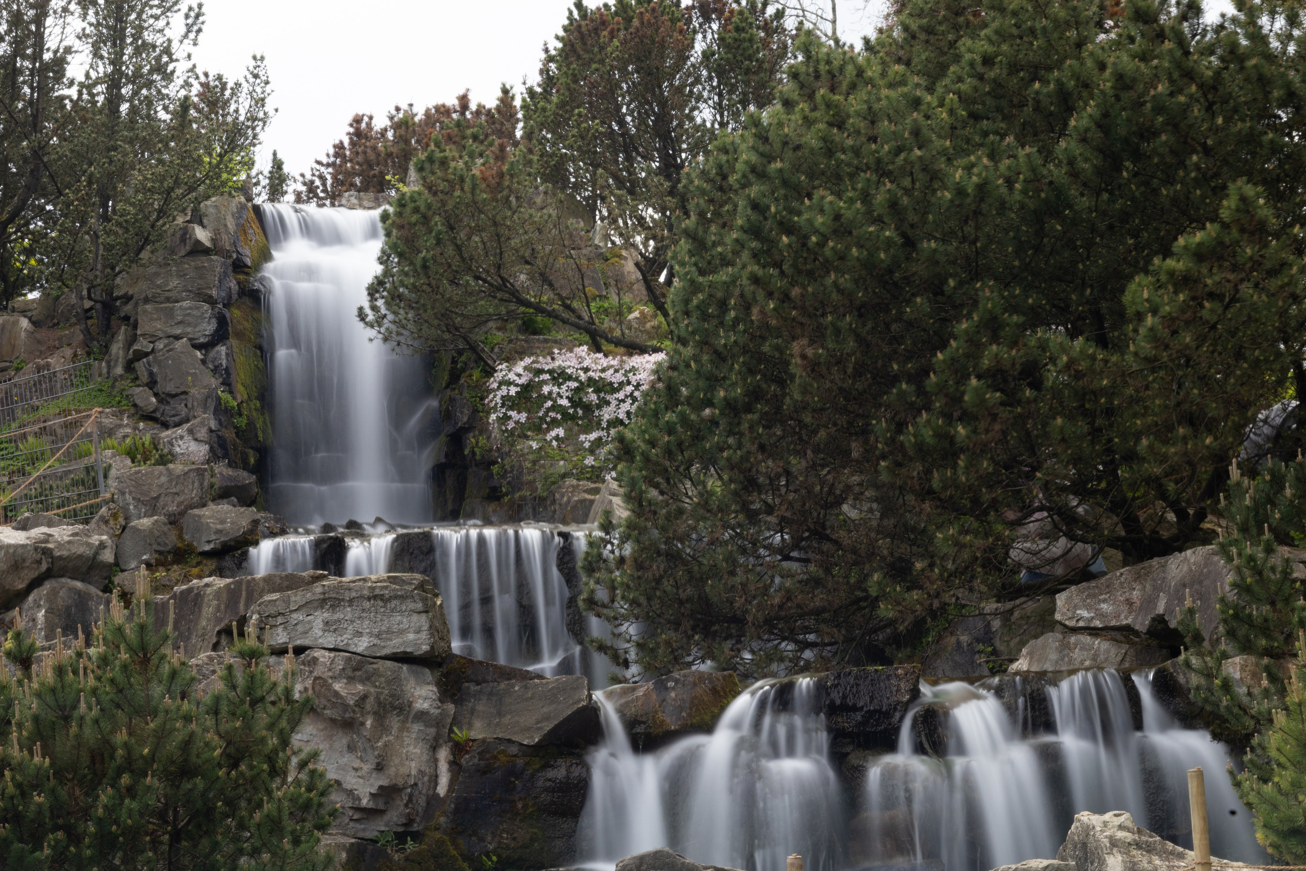 Fotograf familie, mini studio, evenimente, botez, majorat