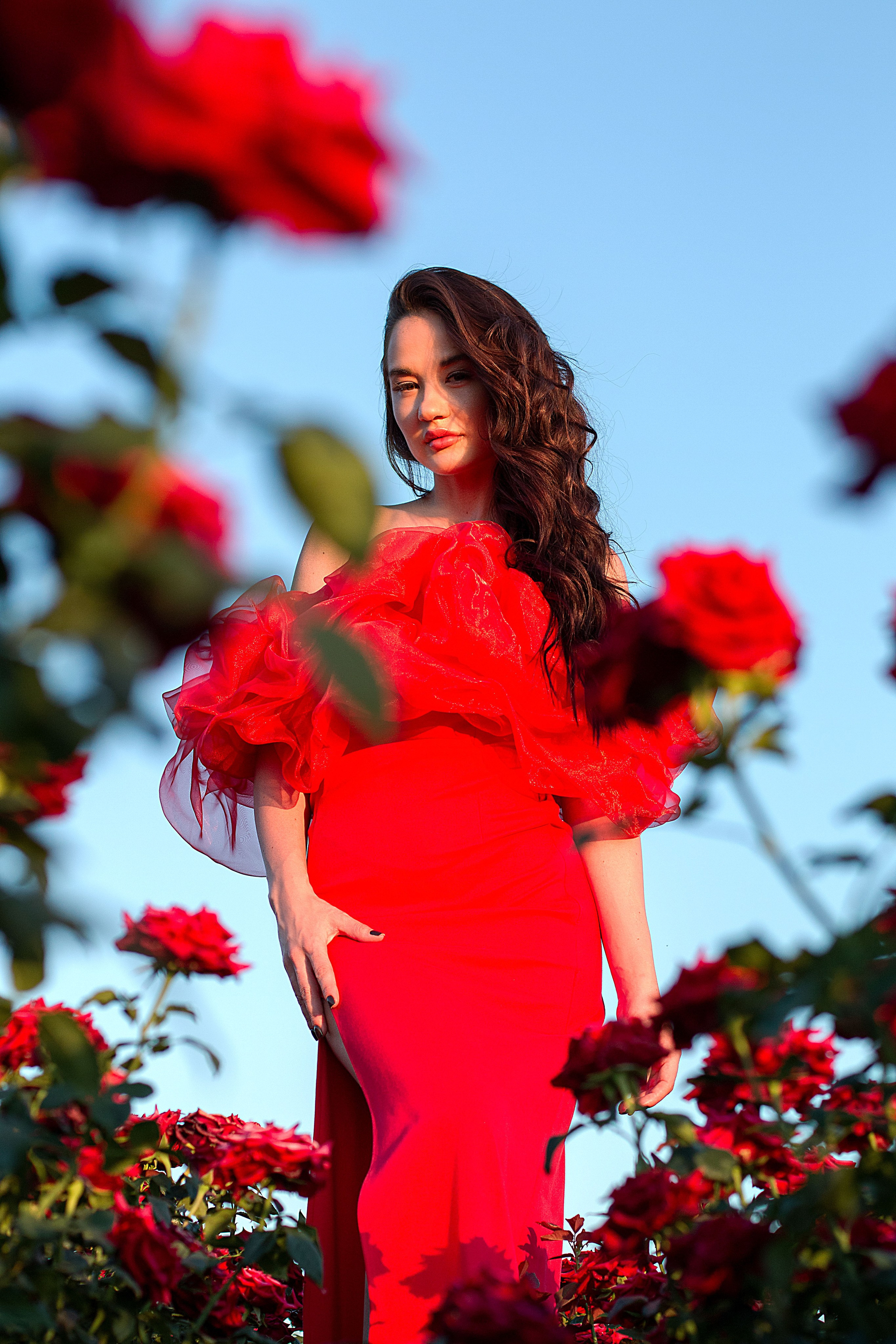 Розы. Детский и семейный фотограф в г. Бельцы