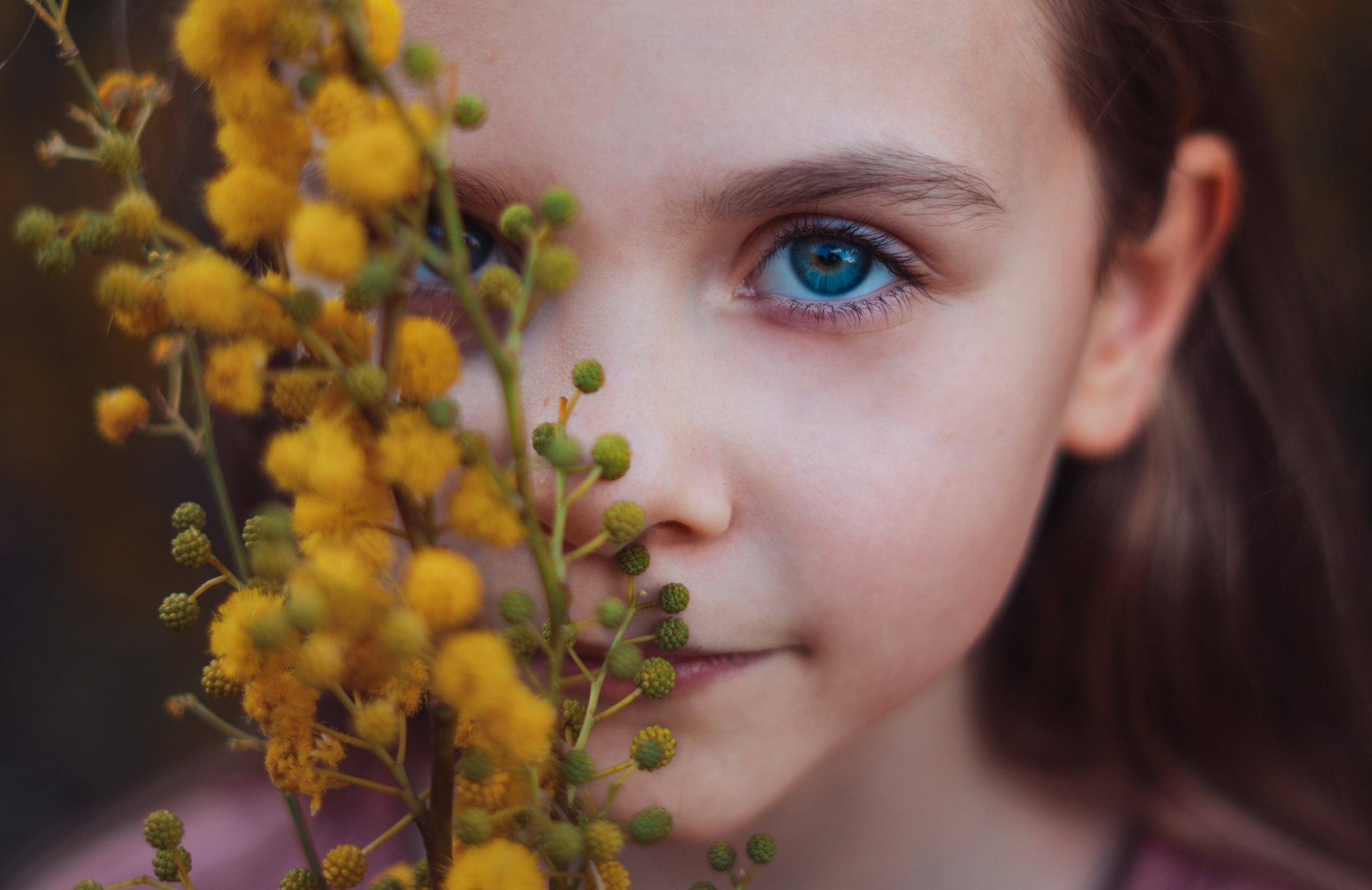 Мимоза. Анастасия Благова — Твой фотограф в Малаге 🇪🇸