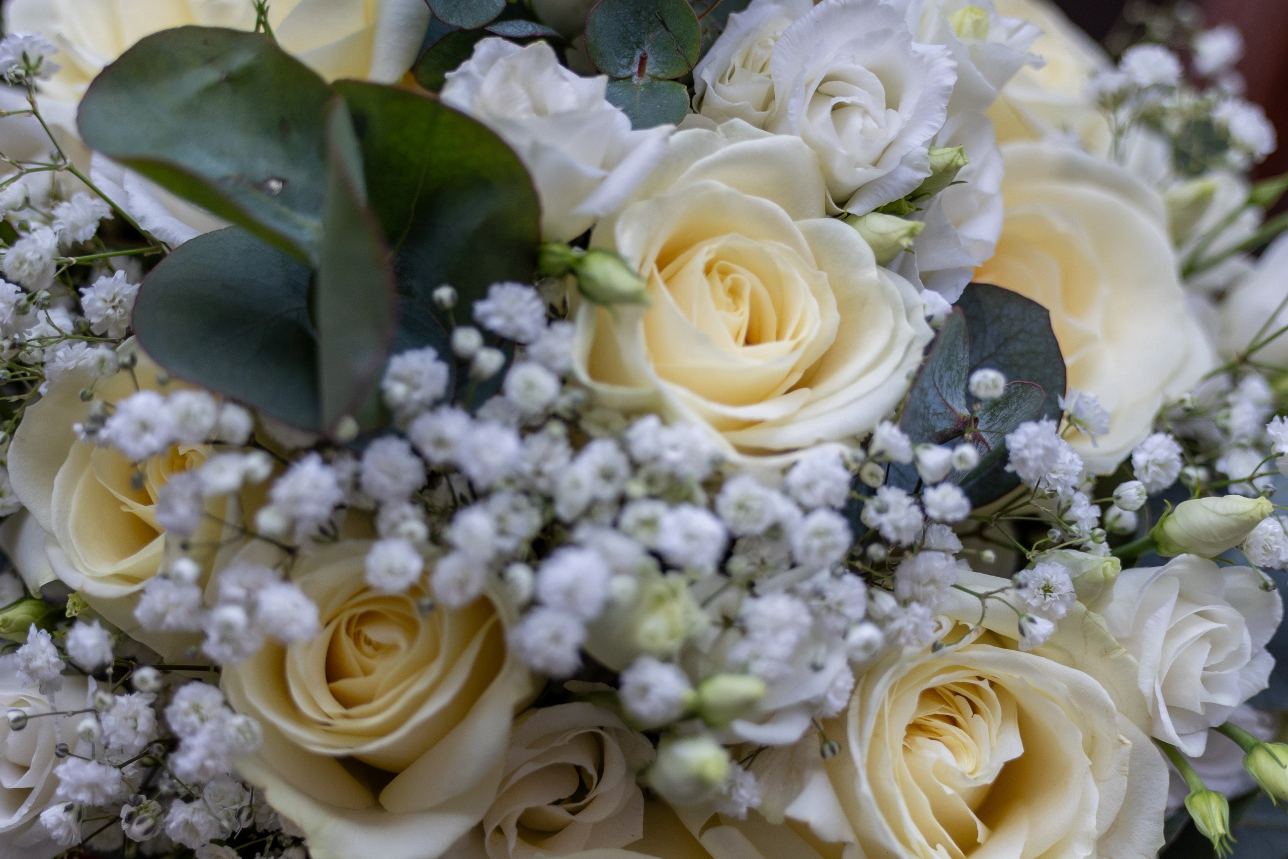 Find den perfekte brudebuket til din store dag hos Akropolis Blomster i Aarhus. Vi skaber smukke buketter specielt til bryllupper. Brudebuketten er en central og betydningsfuld del af brylluppet for mange brude. Den vil være i centrum på mange af de smukke billeder, du vil kigge tilbage på, så det er afgørende, at den er præcis, som du ønsker den.
