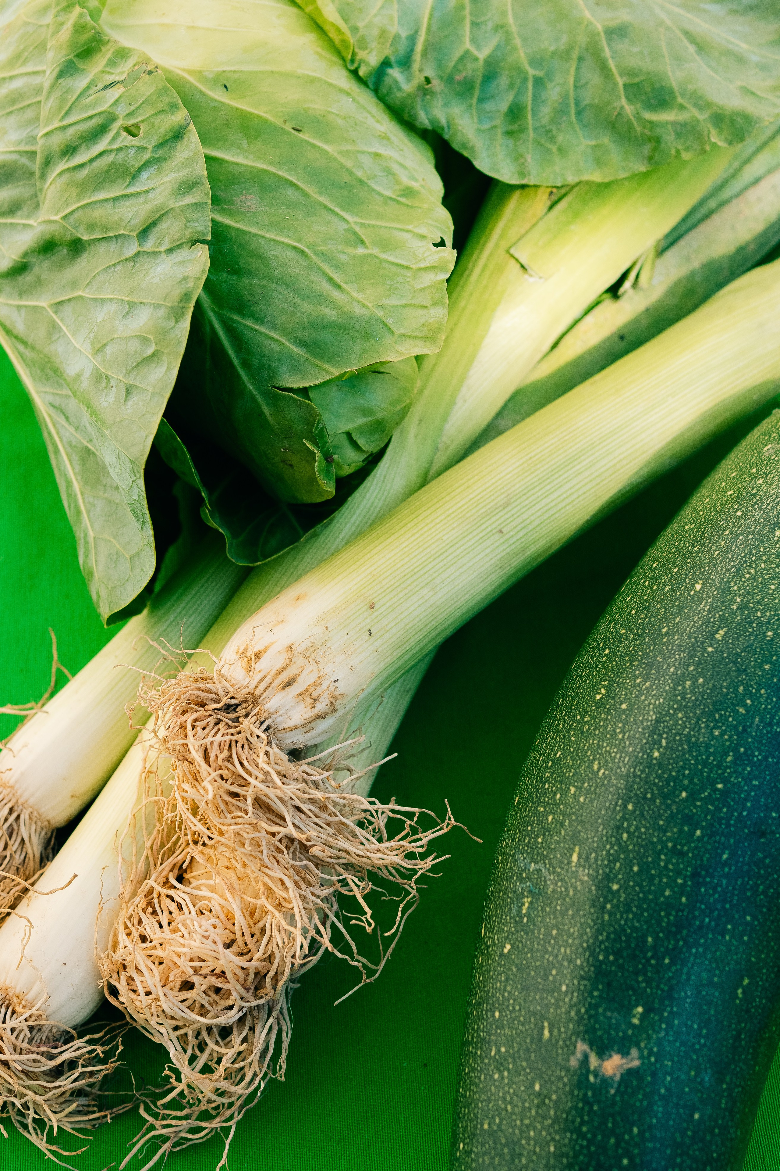 Different Vegetables. Close-up of leek, cabbage, and courgette on a green background. 