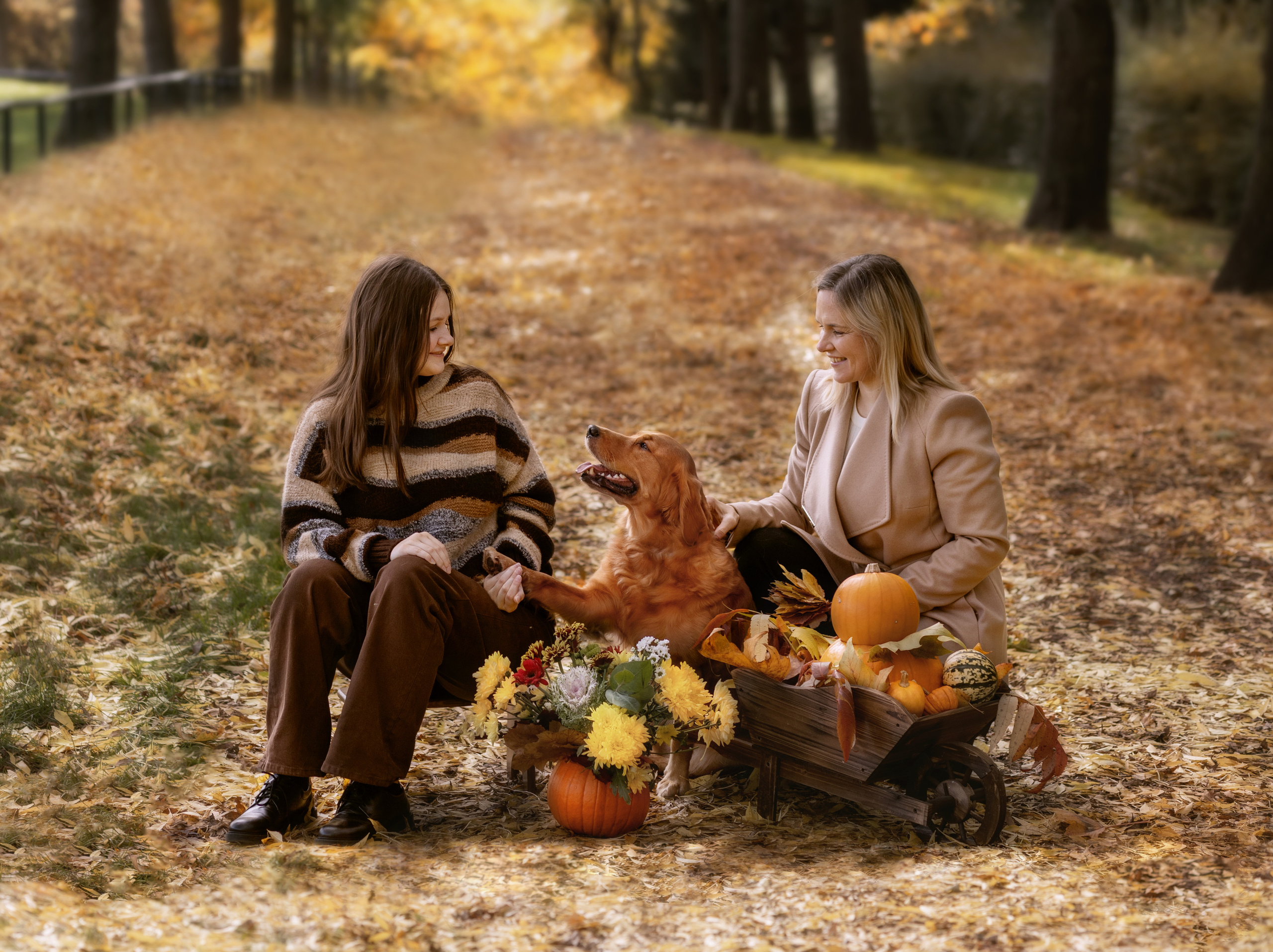 Детские и семейные фотографии. Главная