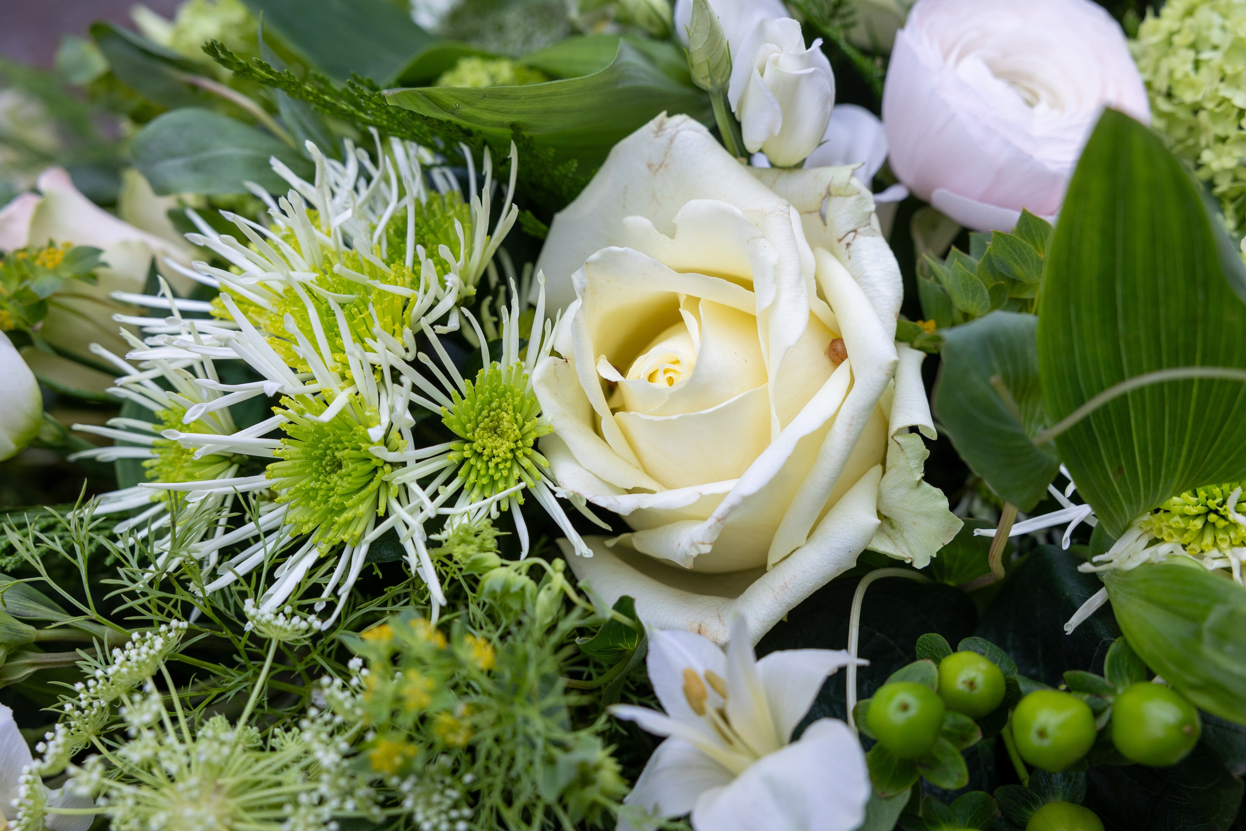Blomsterne er arrangeret tæt på hele kistelåget, som giver en overdådig kiste. De flotte grønne, hvide nuancer er kombineret smukt i sæsonens blomster. Et unikt farvel der tager sig elegant ud i kirkerummet.