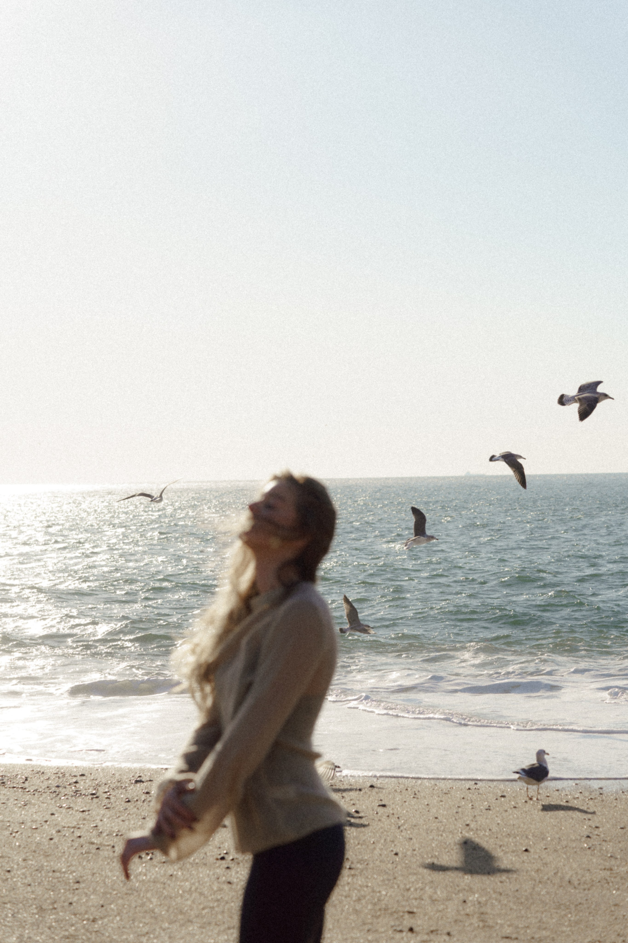 Lost in Madeira. Patricia Morenci — Mountain Adventures for the Wild at Heart