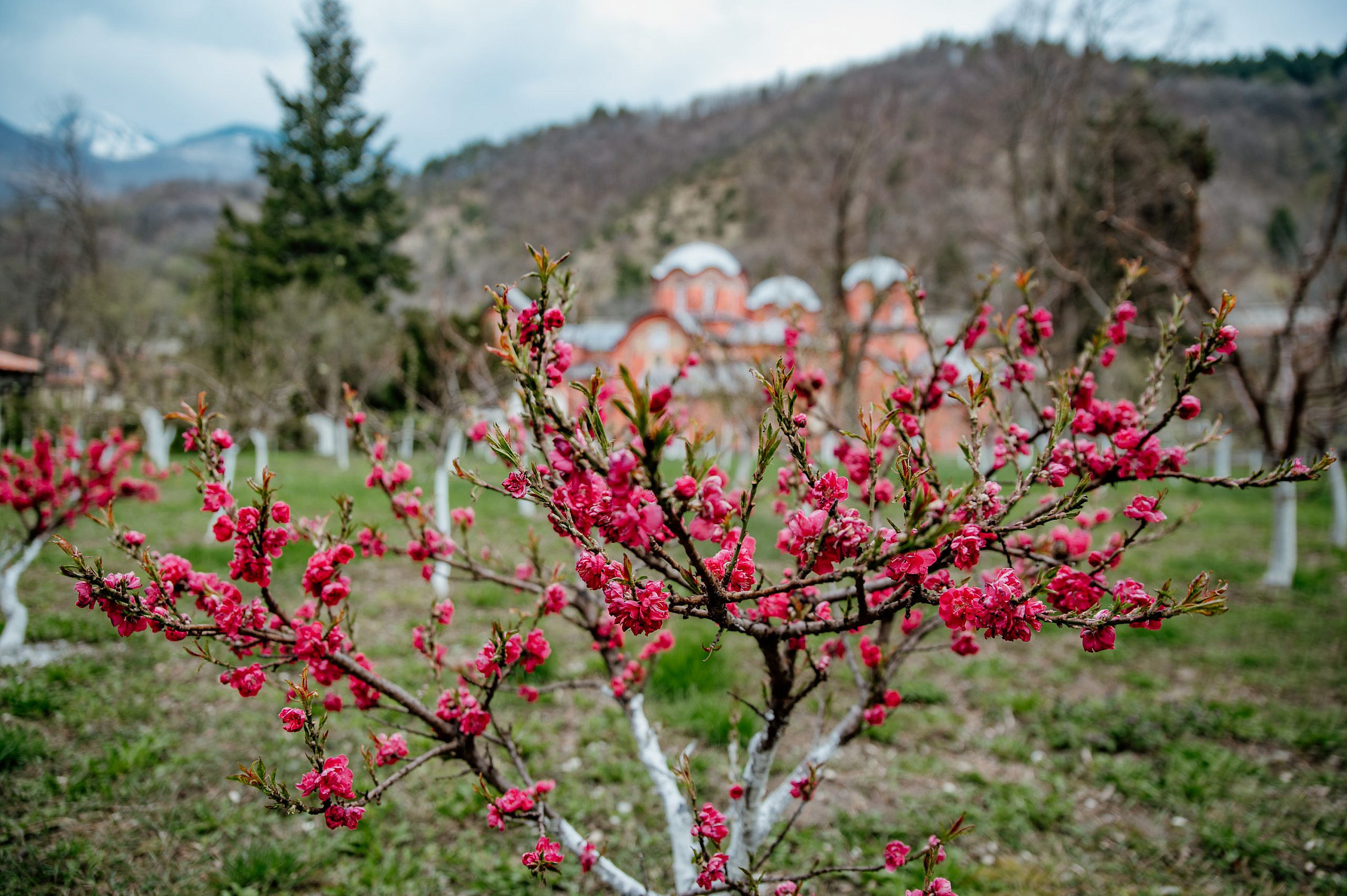 Kosovo i Metohija. Bojana Žuža fotograf u Beogradu 📷 Belgrade photographer